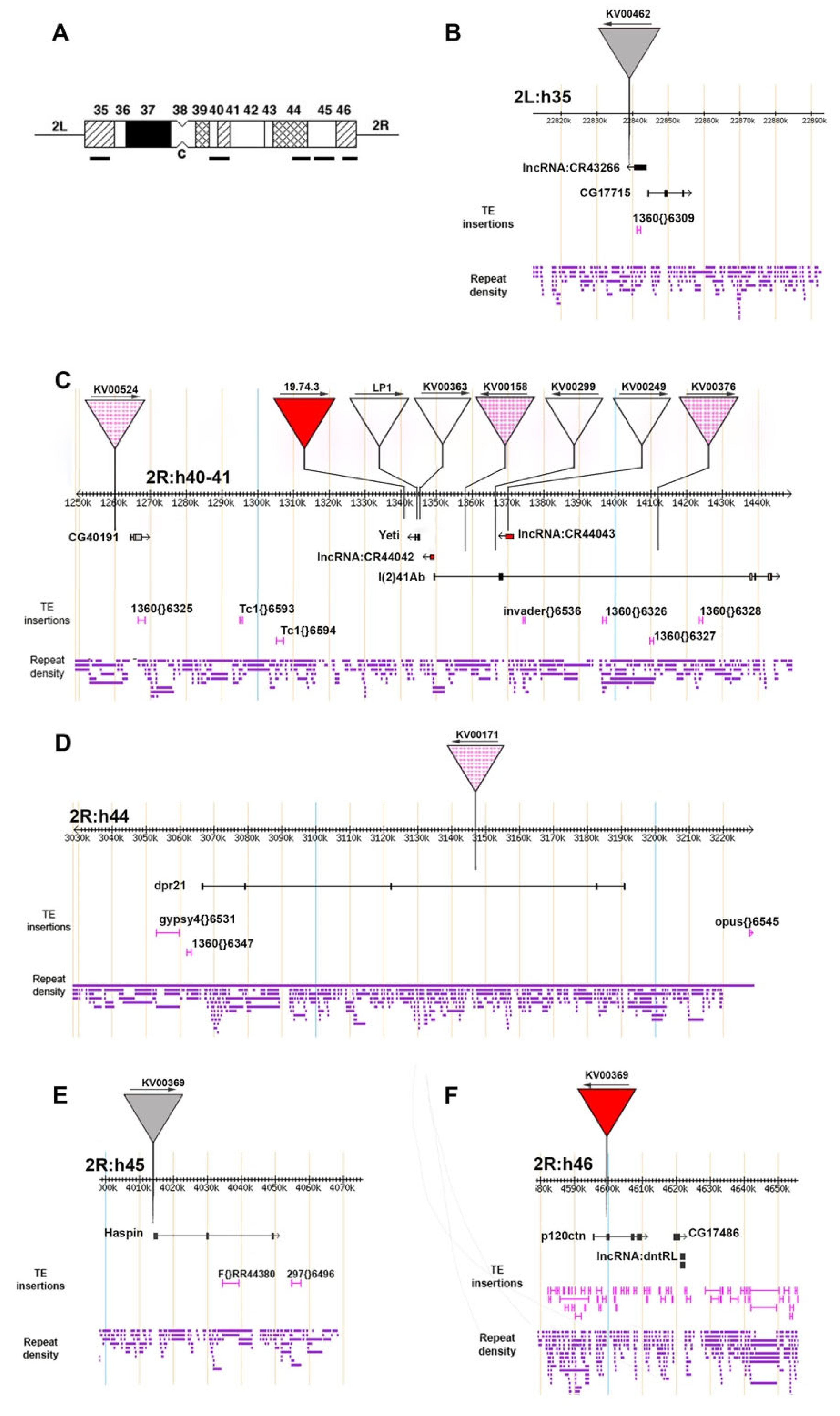 Genes 14 00012 g006