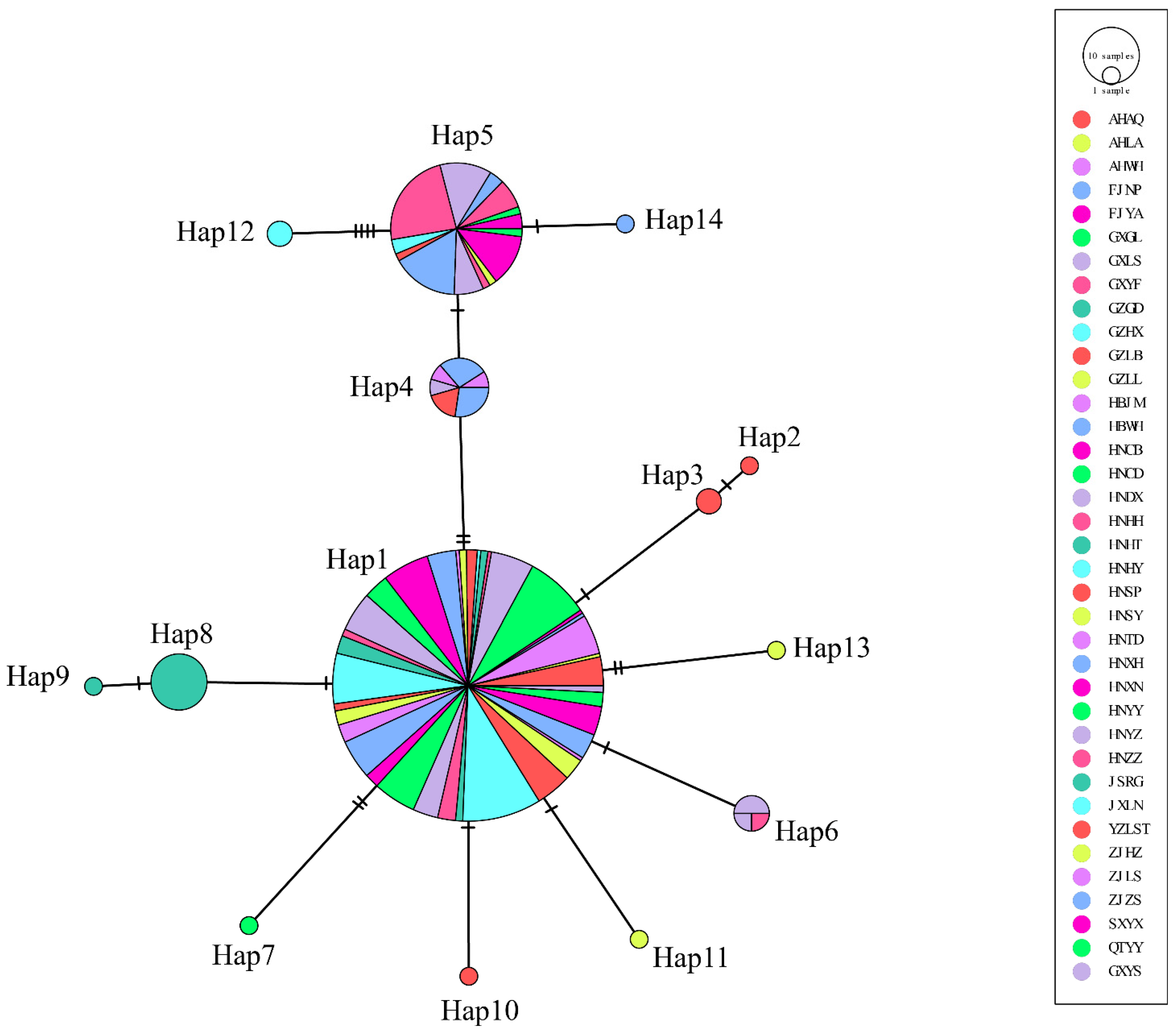 Genes | Free Full-Text | Phylogenetic Analysis and Genetic