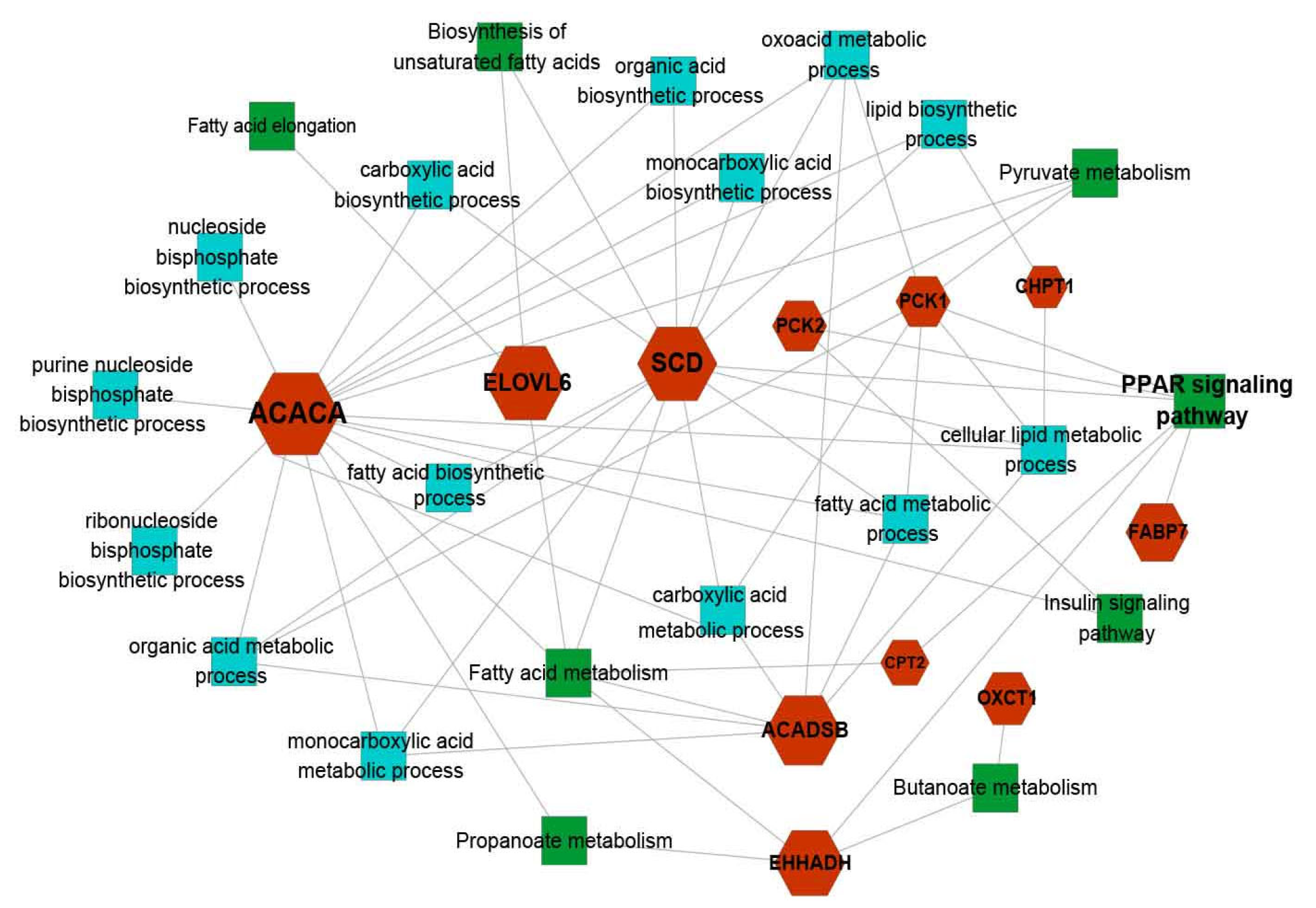 Genes 14 00037 g007 Genes 14 00037 g007