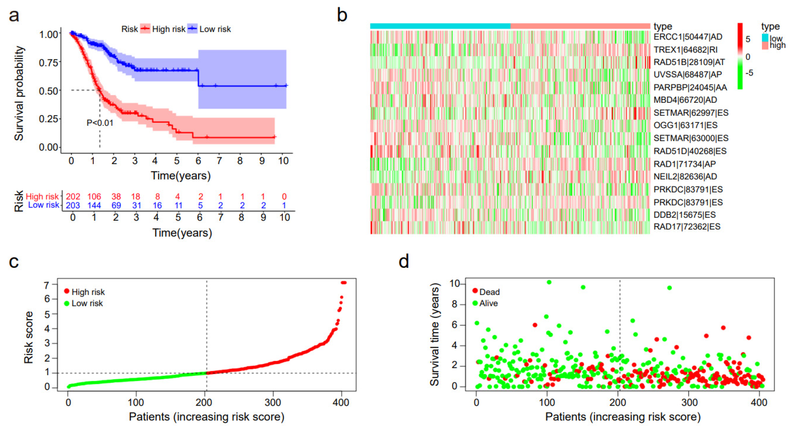 Genes 14 00039 g003 Genes 14 00039 g003