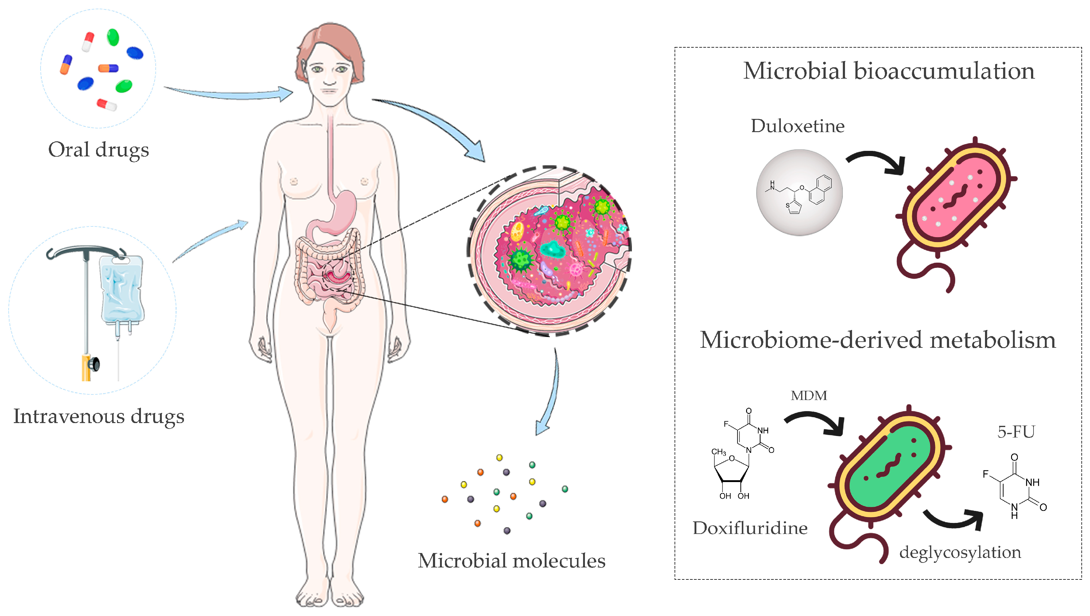 Genes 14 00055 g001 Genes 14 00055 g001