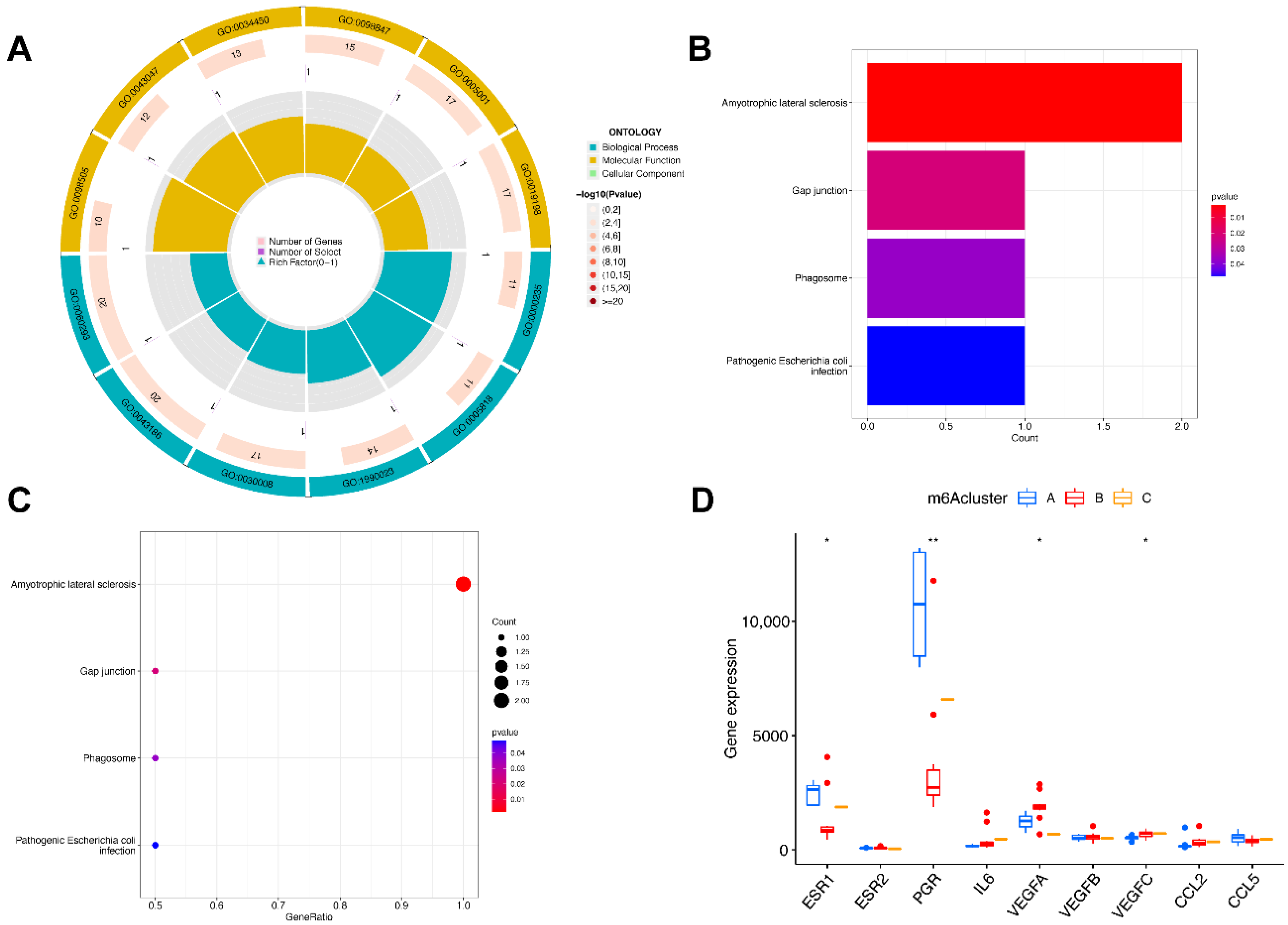 Genes 14 00086 g007 Genes 14 00086 g007