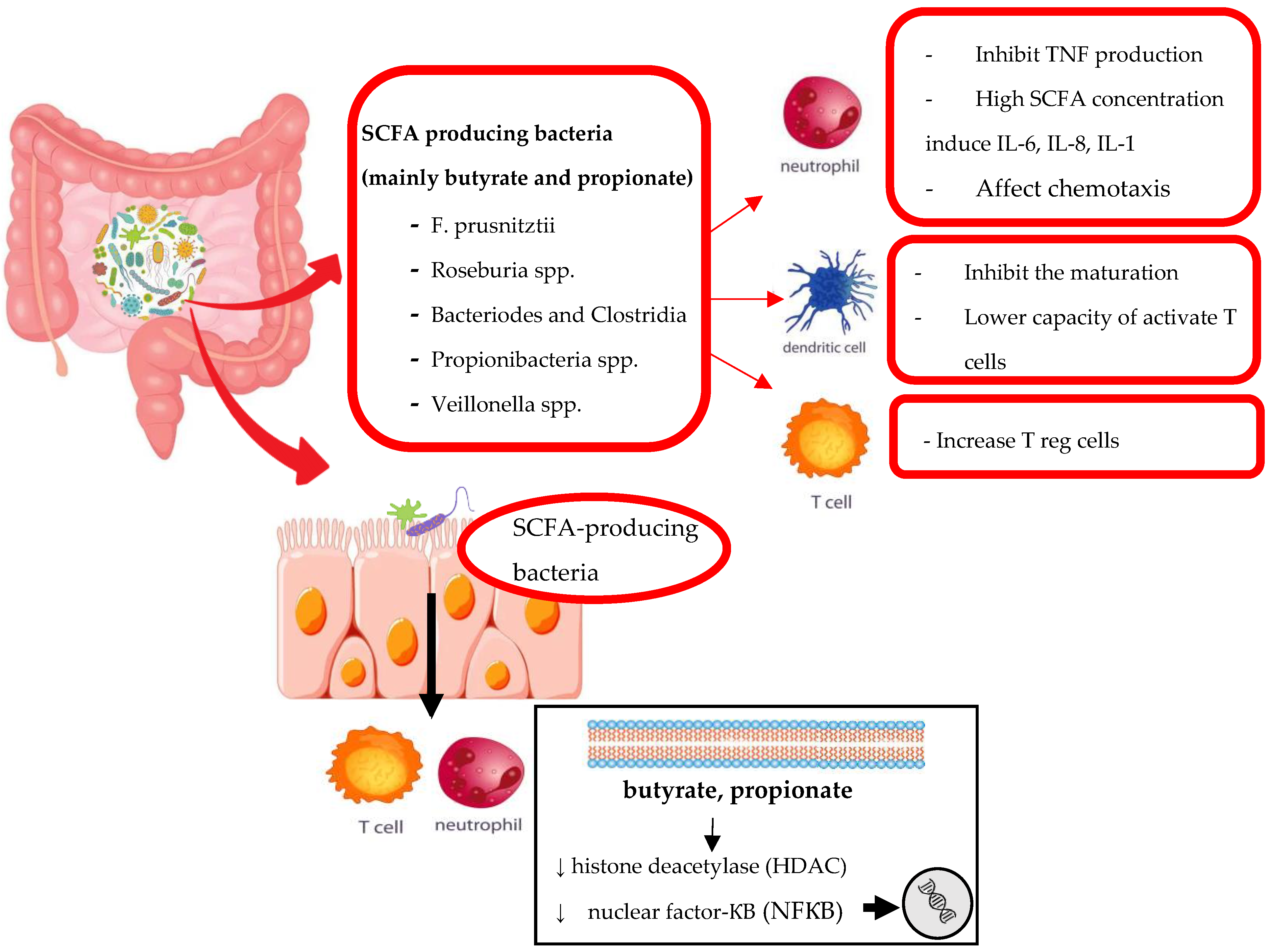 Genes 14 00089 g001