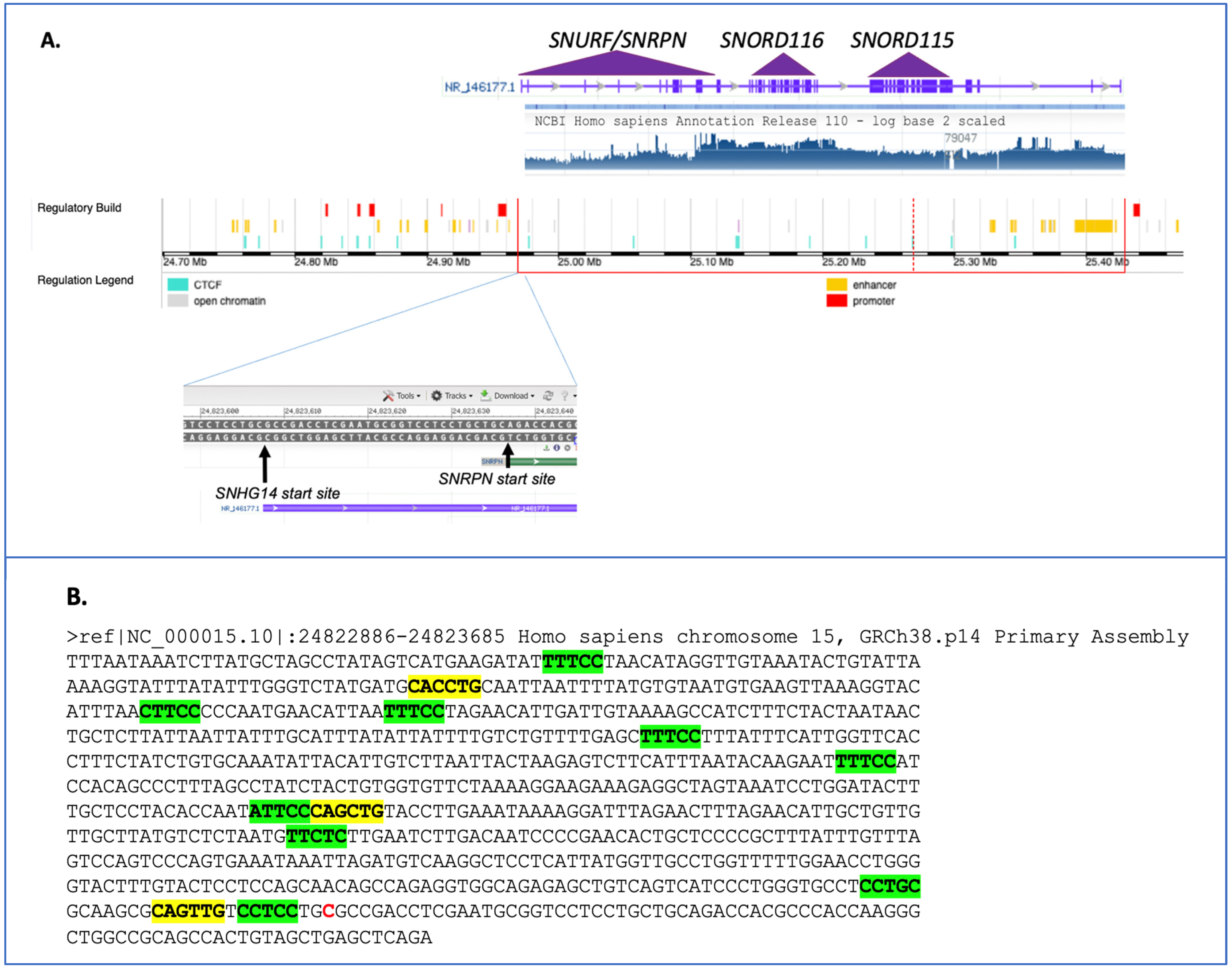 Genes 14 00097 g003 Genes 14 00097 g003