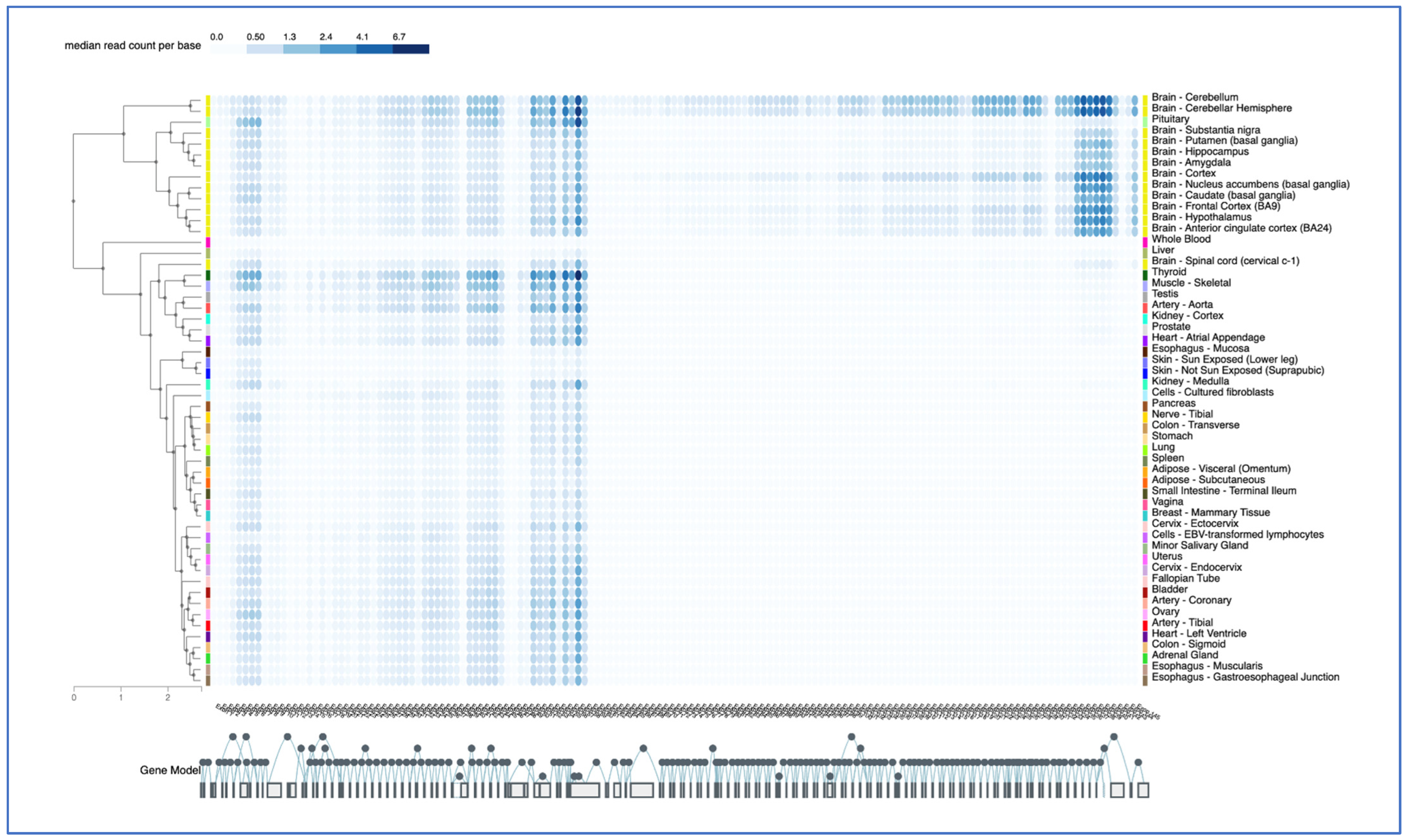 Genes 14 00097 g005 Genes 14 00097 g005