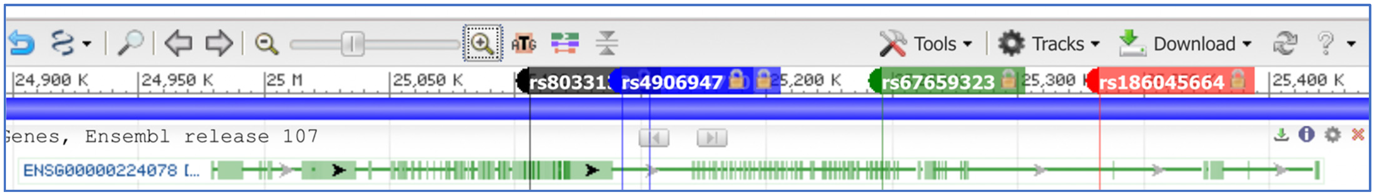 Genes 14 00097 g007 Genes 14 00097 g007