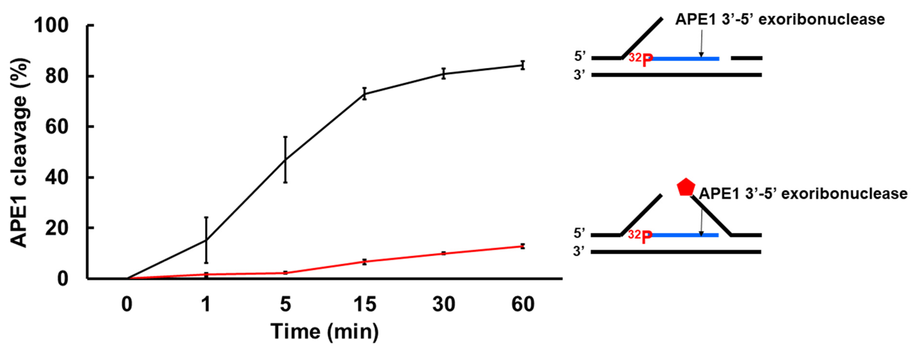Genes 14 00098 g008 Genes 14 00098 g008