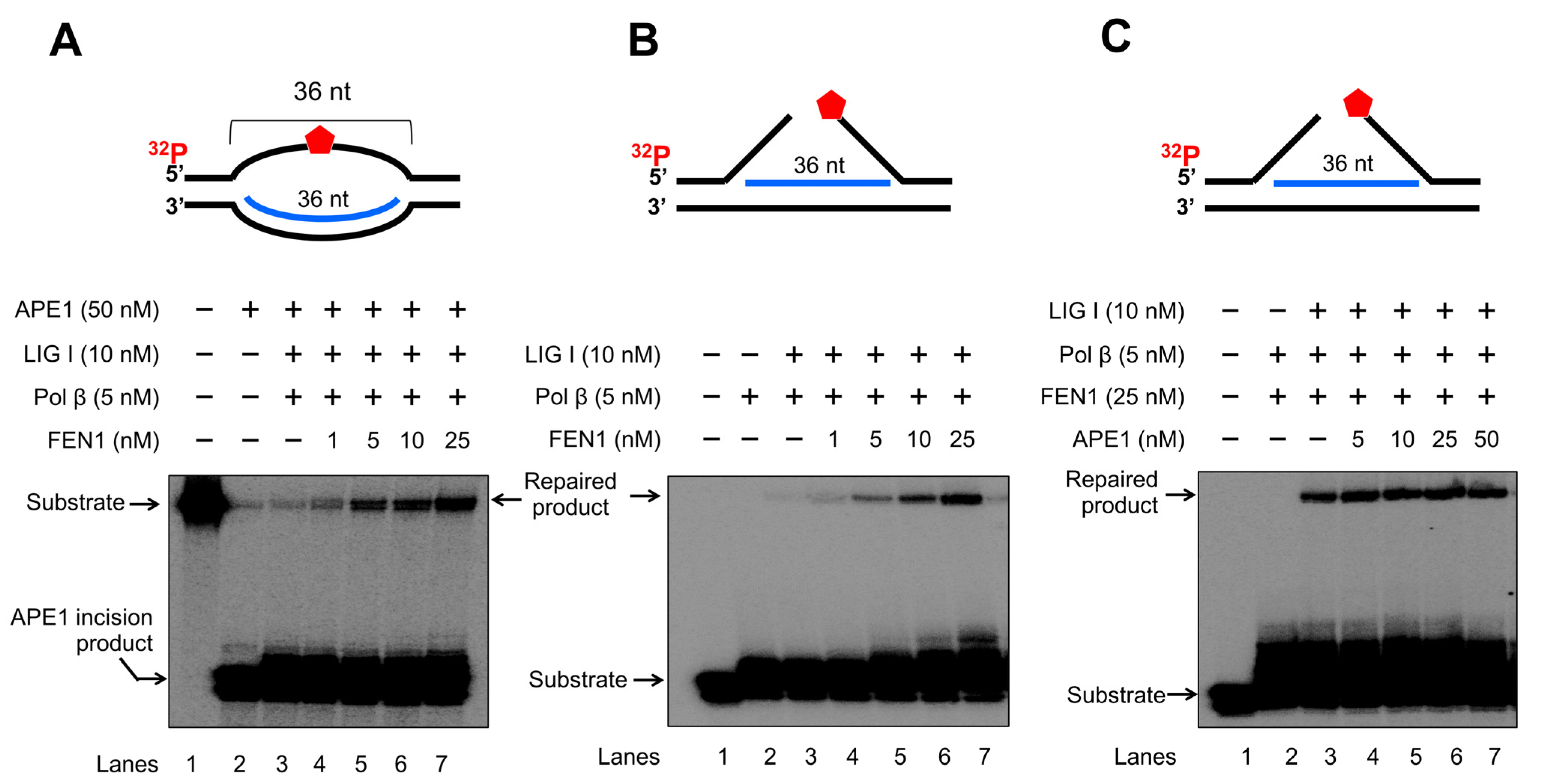 Genes 14 00098 g009 Genes 14 00098 g009