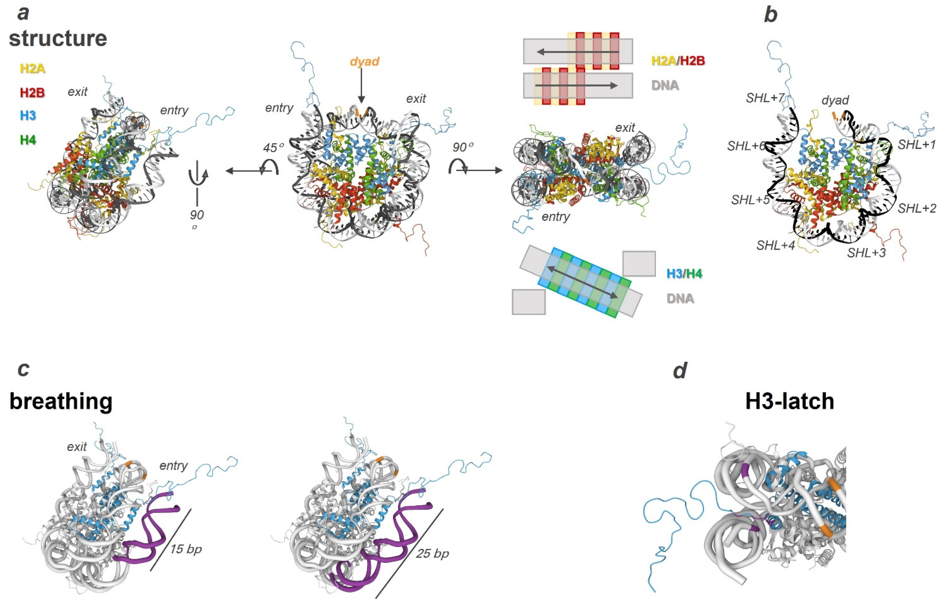 Genes 14 00112 g001 Genes 14 00112 g001