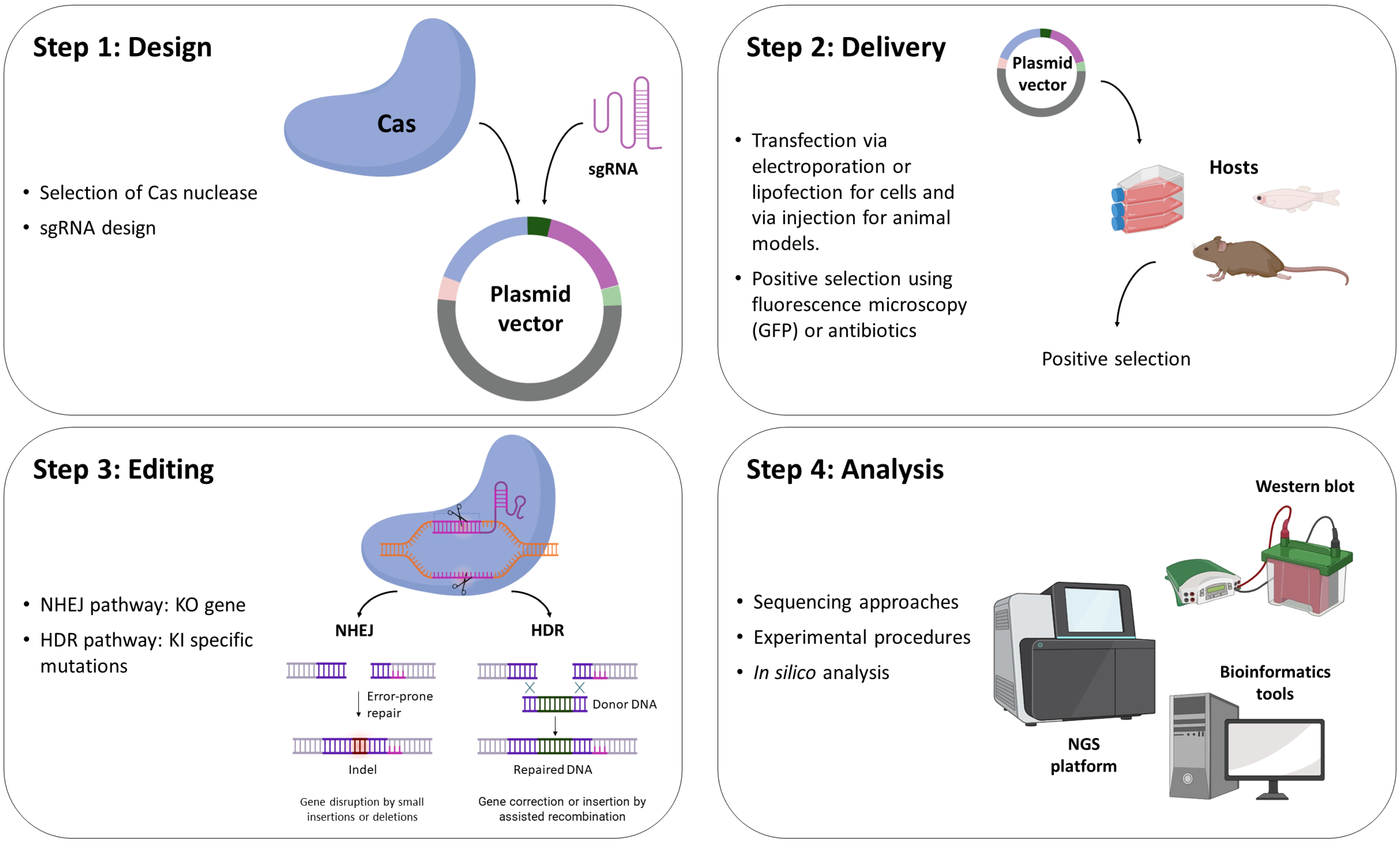 Genes 14 00129 g002 Genes 14 00129 g002