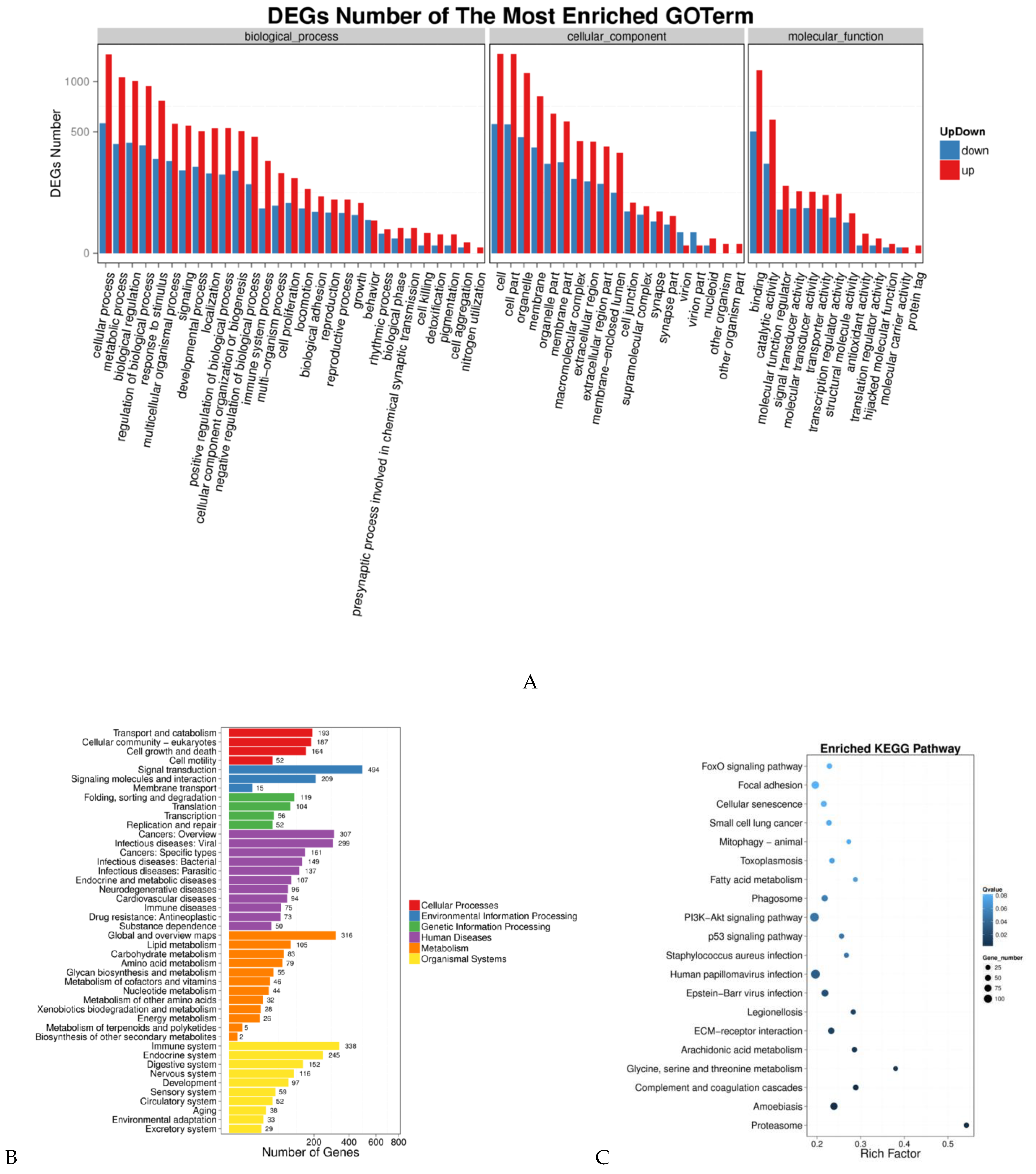 Genes 14 00132 g002 Genes 14 00132 g002