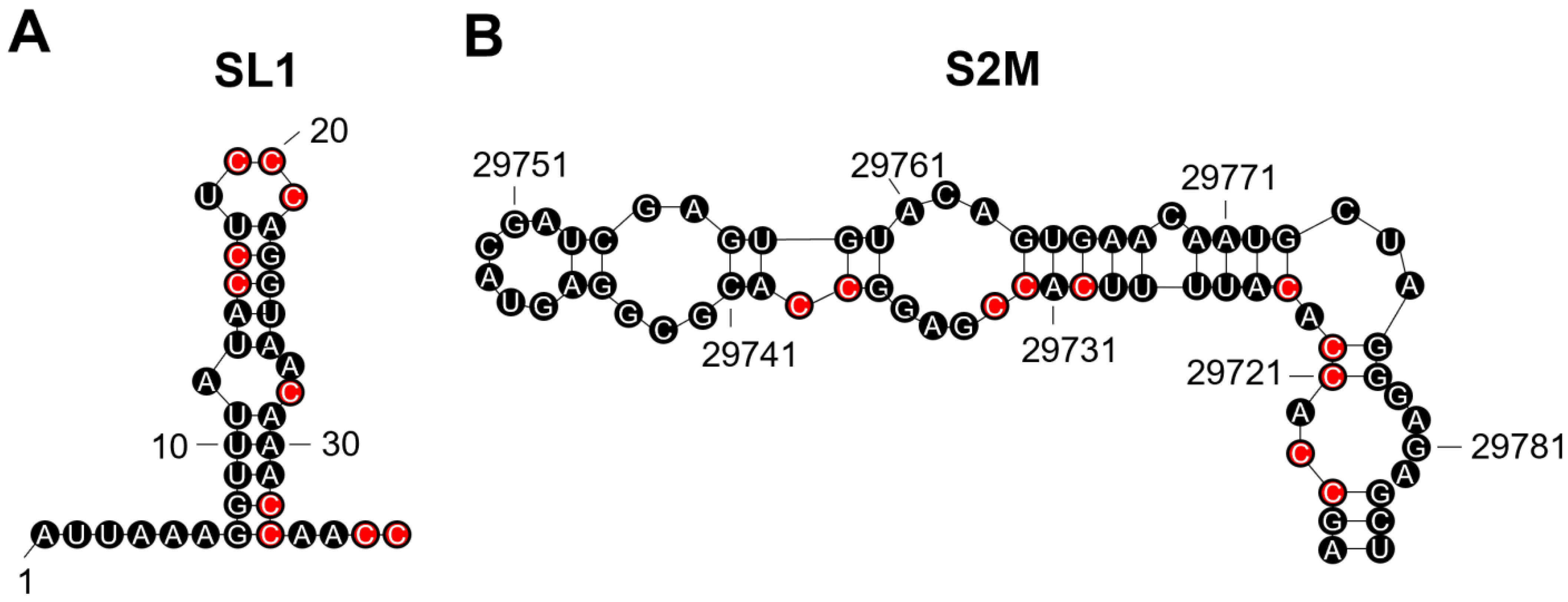 Genes 14 00157 g002 Genes 14 00157 g002