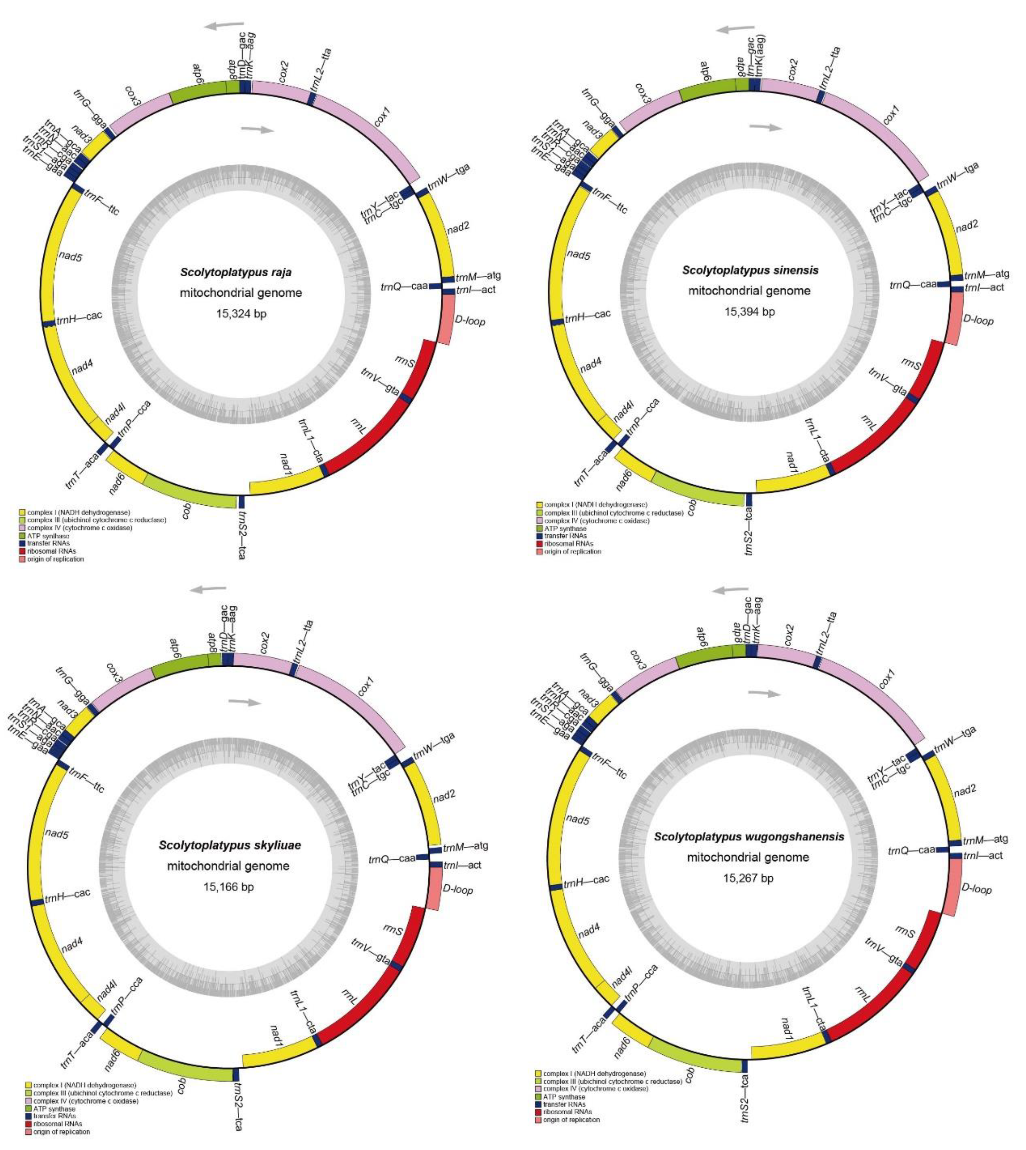 Genes 14 00162 g001 Genes 14 00162 g001