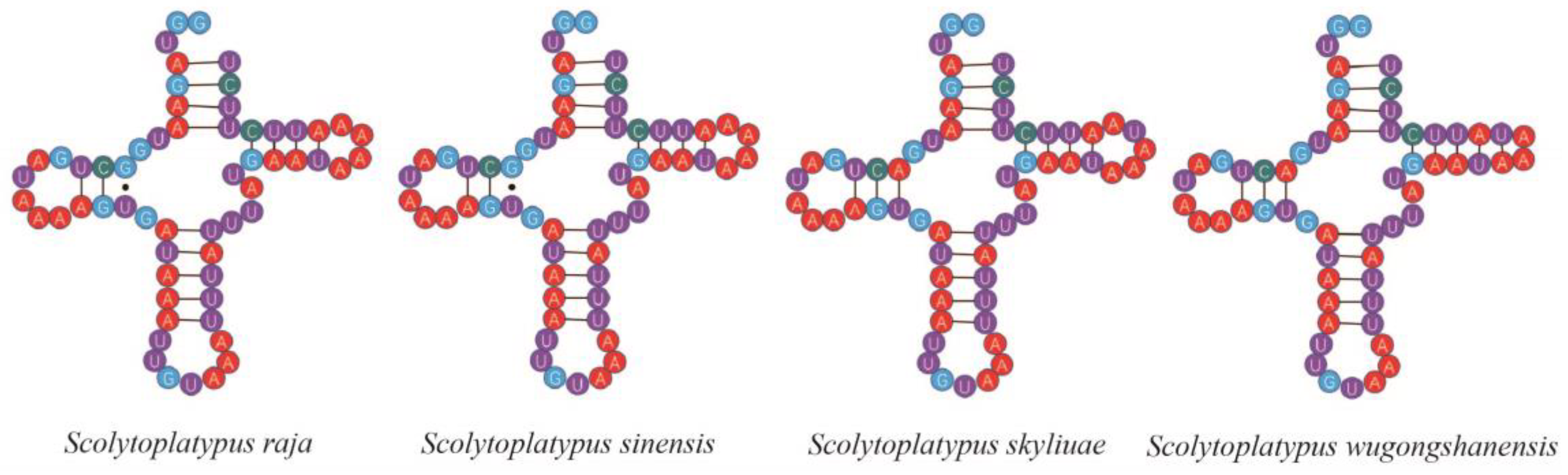 Genes 14 00162 g004 Genes 14 00162 g004