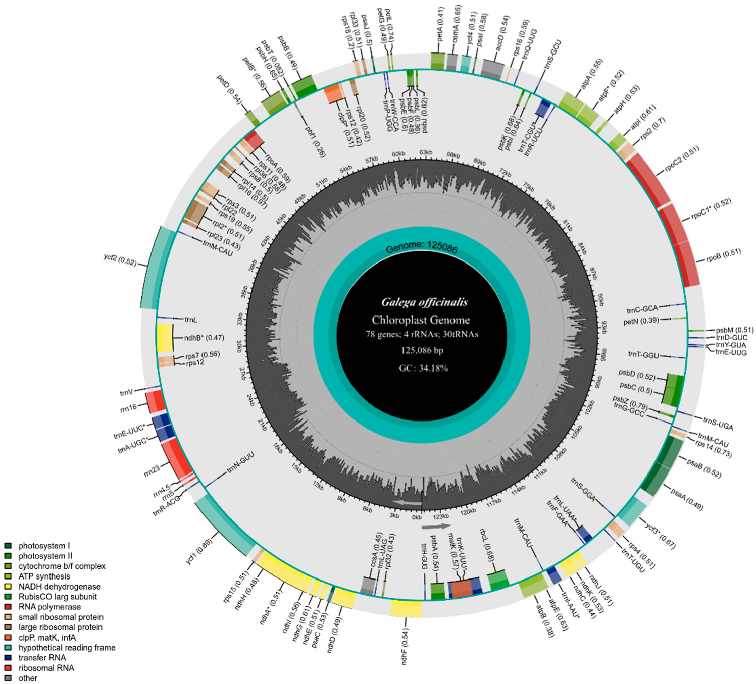 Genes 14 00176 g002 Genes 14 00176 g002