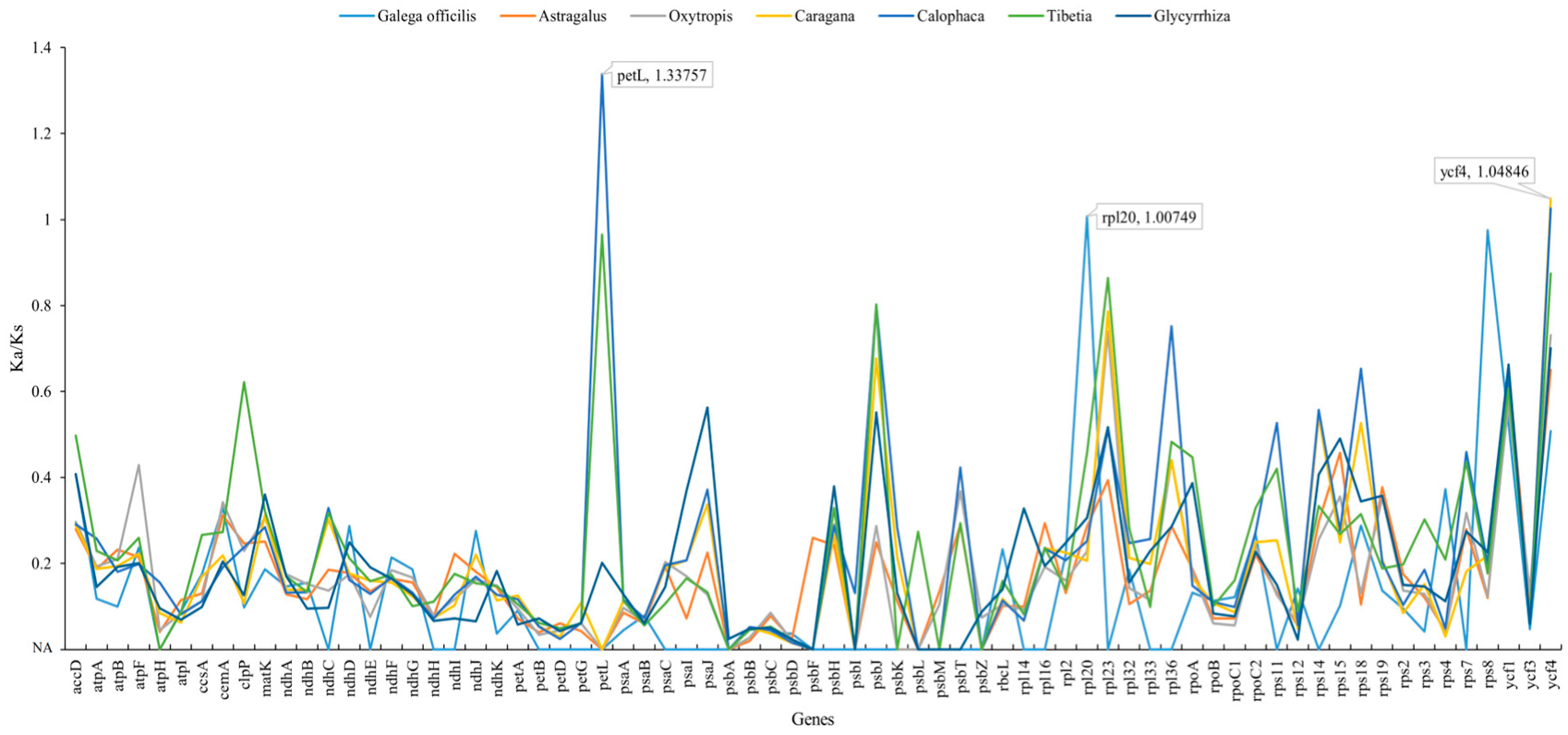 Genes 14 00176 g005 Genes 14 00176 g005