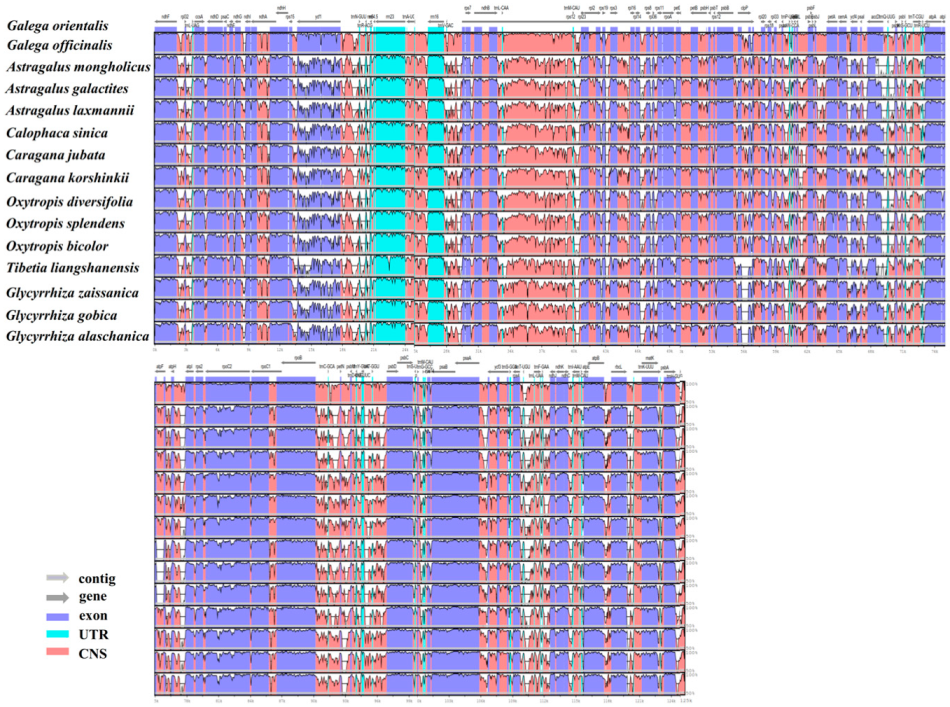 Genes 14 00176 g006 Genes 14 00176 g006