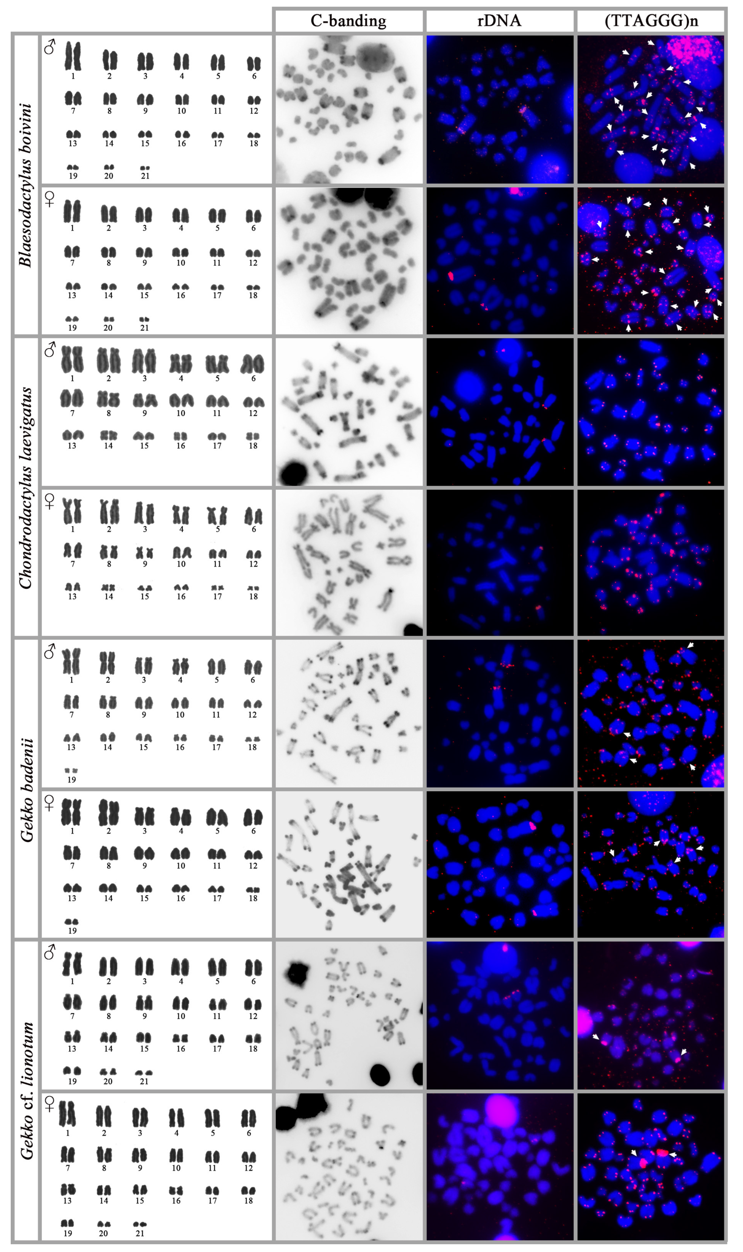 Genes 14 00178 g001 Genes 14 00178 g001