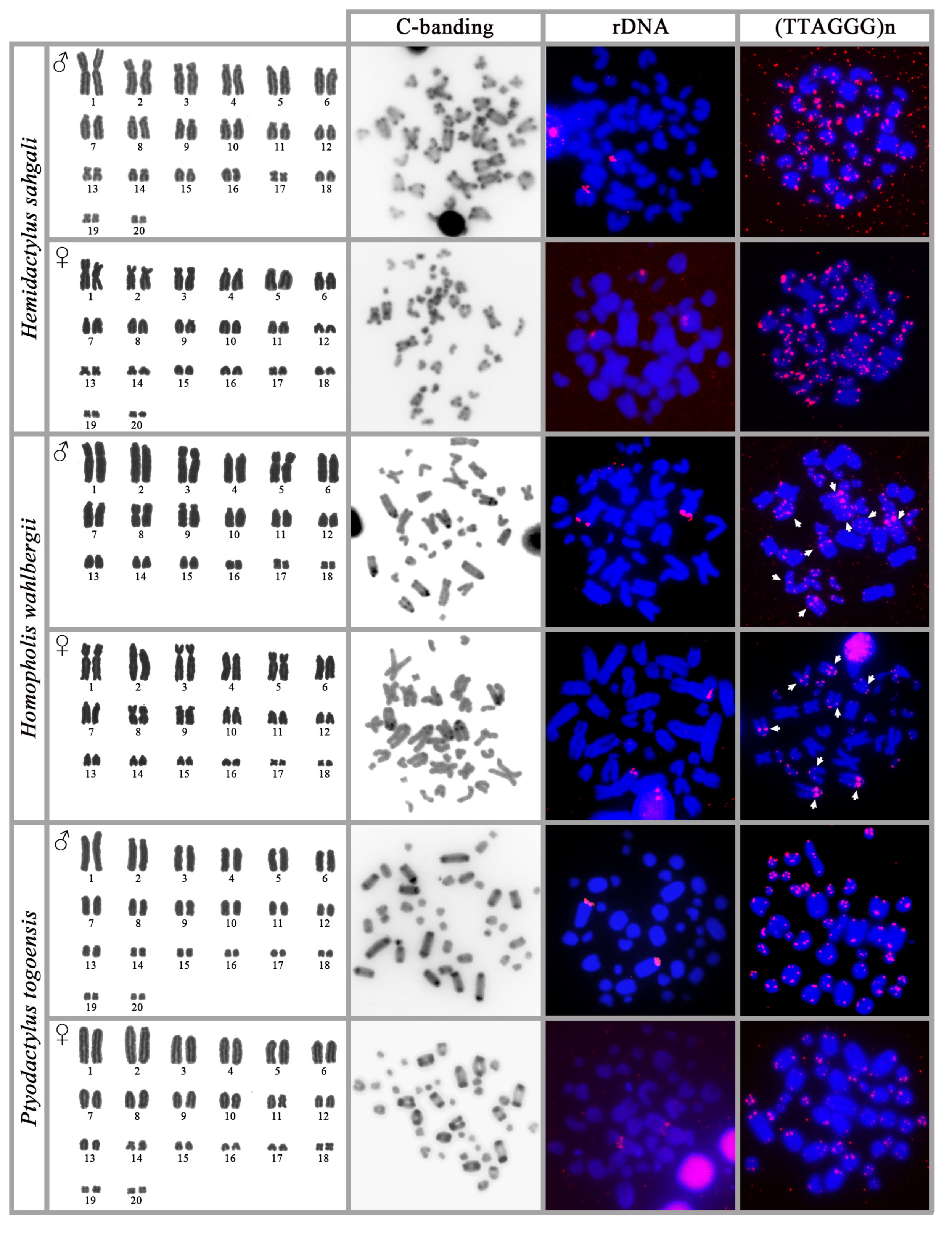 Genes 14 00178 g002 Genes 14 00178 g002