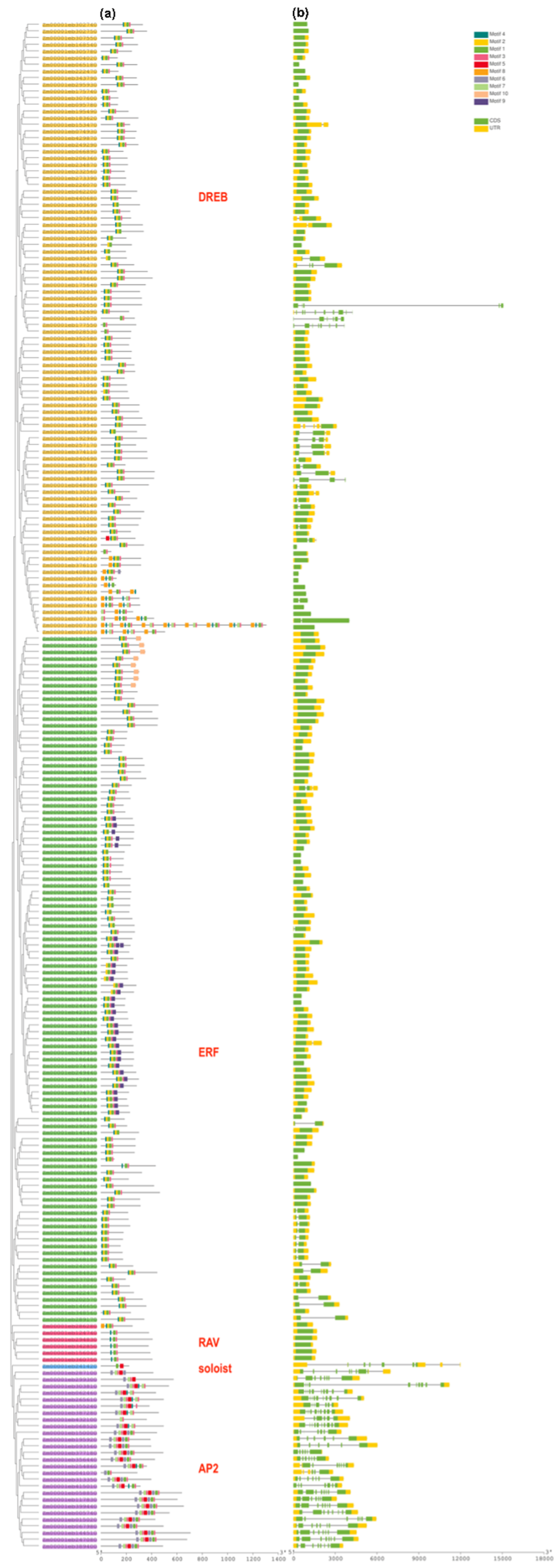 Genes 14 00194 g002 Genes 14 00194 g002