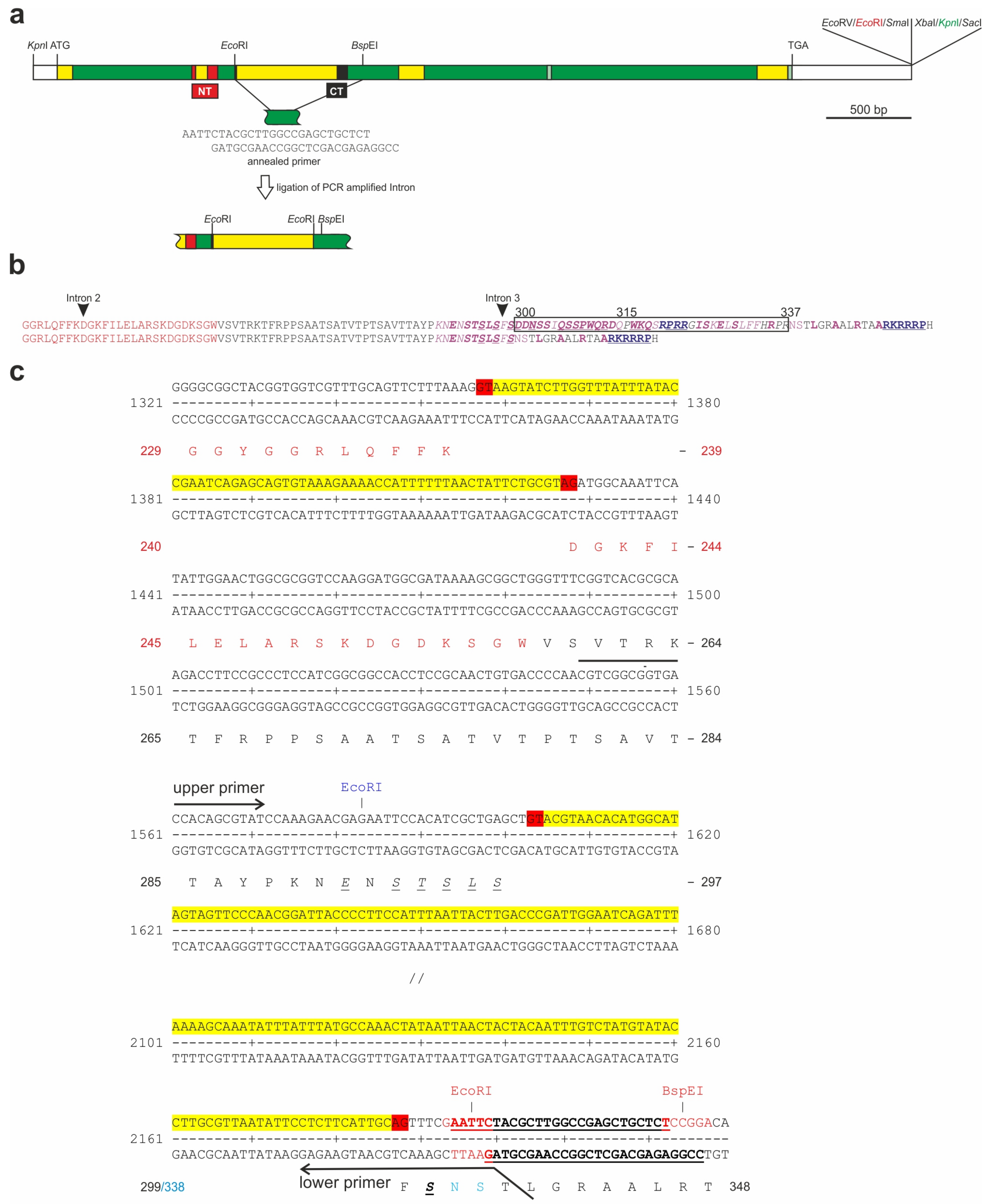 Genes 14 00205 g001 Genes 14 00205 g001