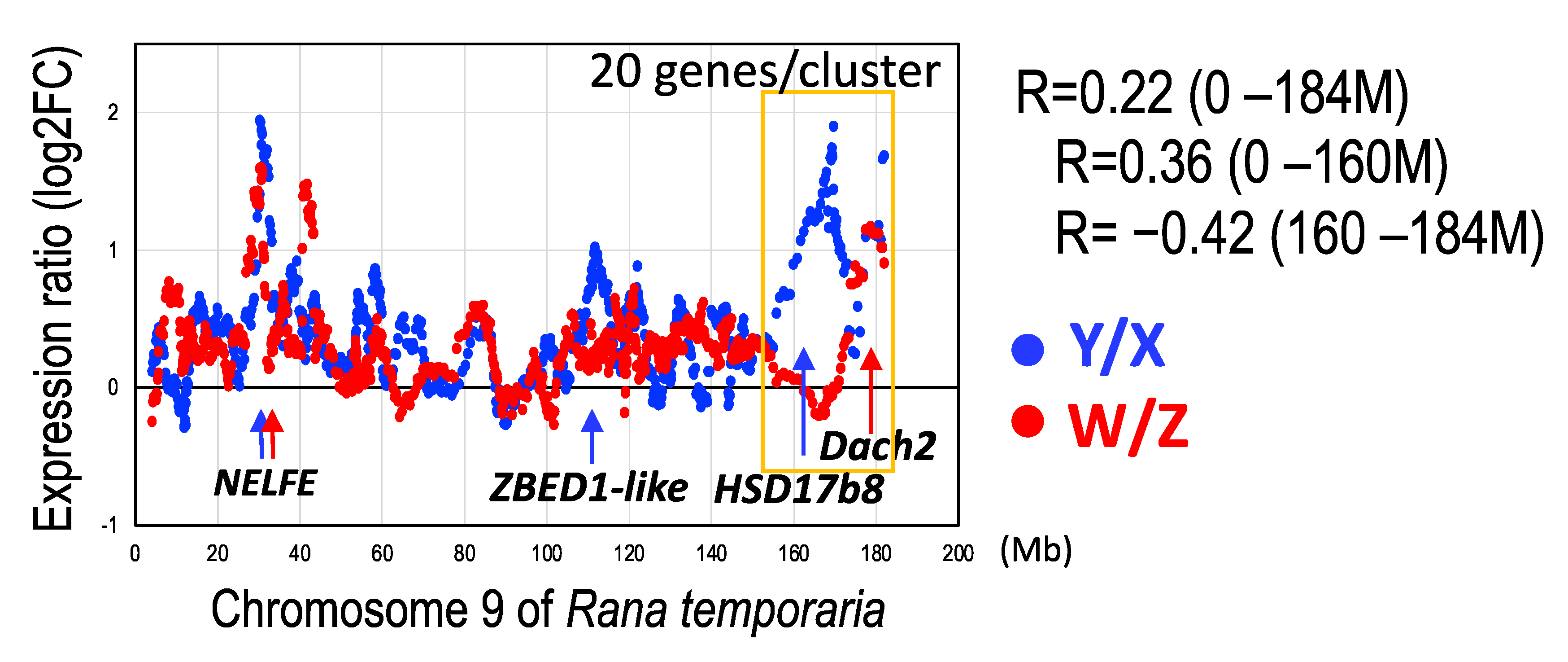 Genes 14 00257 g007 Genes 14 00257 g007