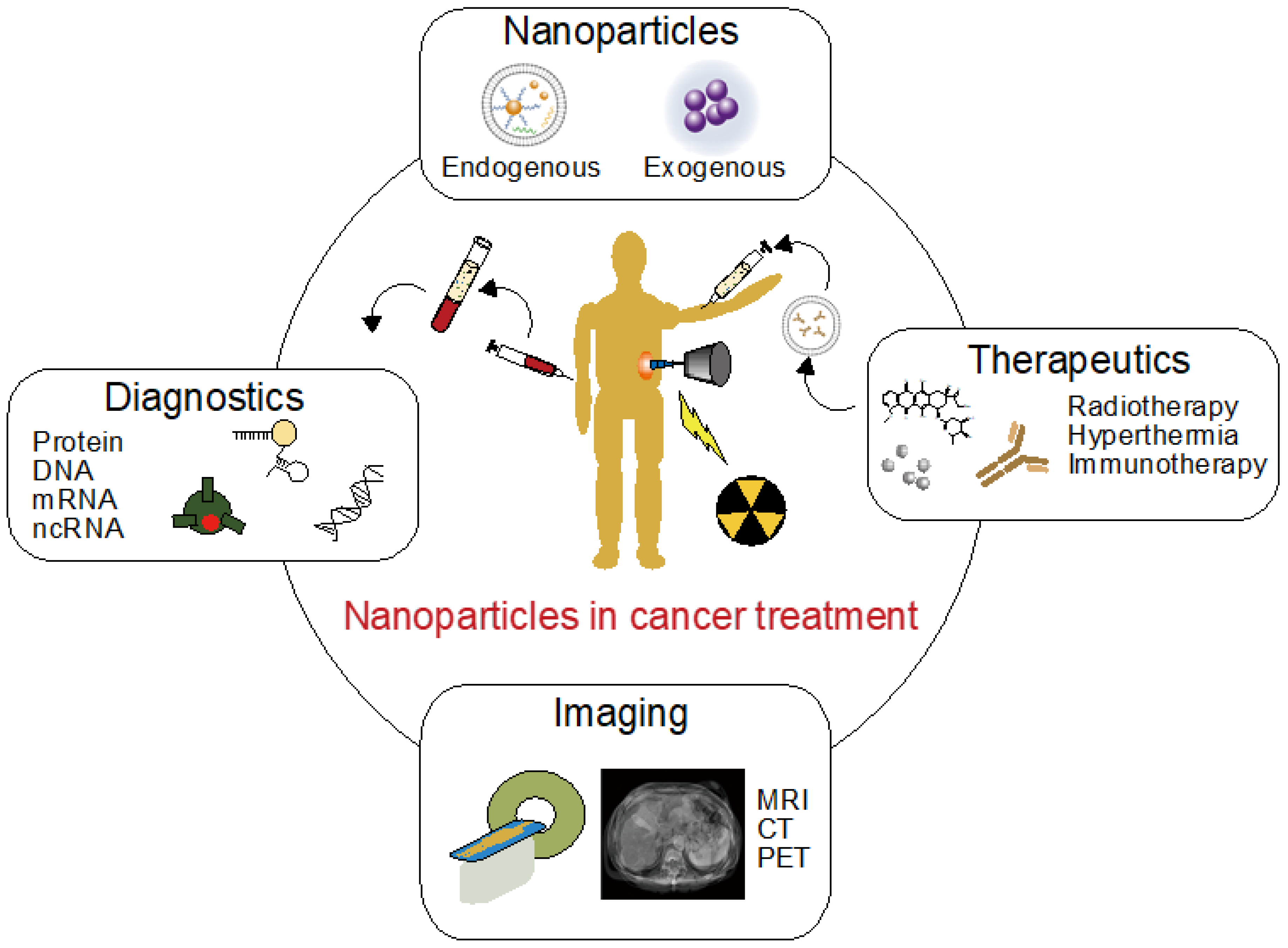 Genes | Free Full-Text | Progress of Endogenous and Exogenous Nanoparticles  for Cancer Therapy and Diagnostics