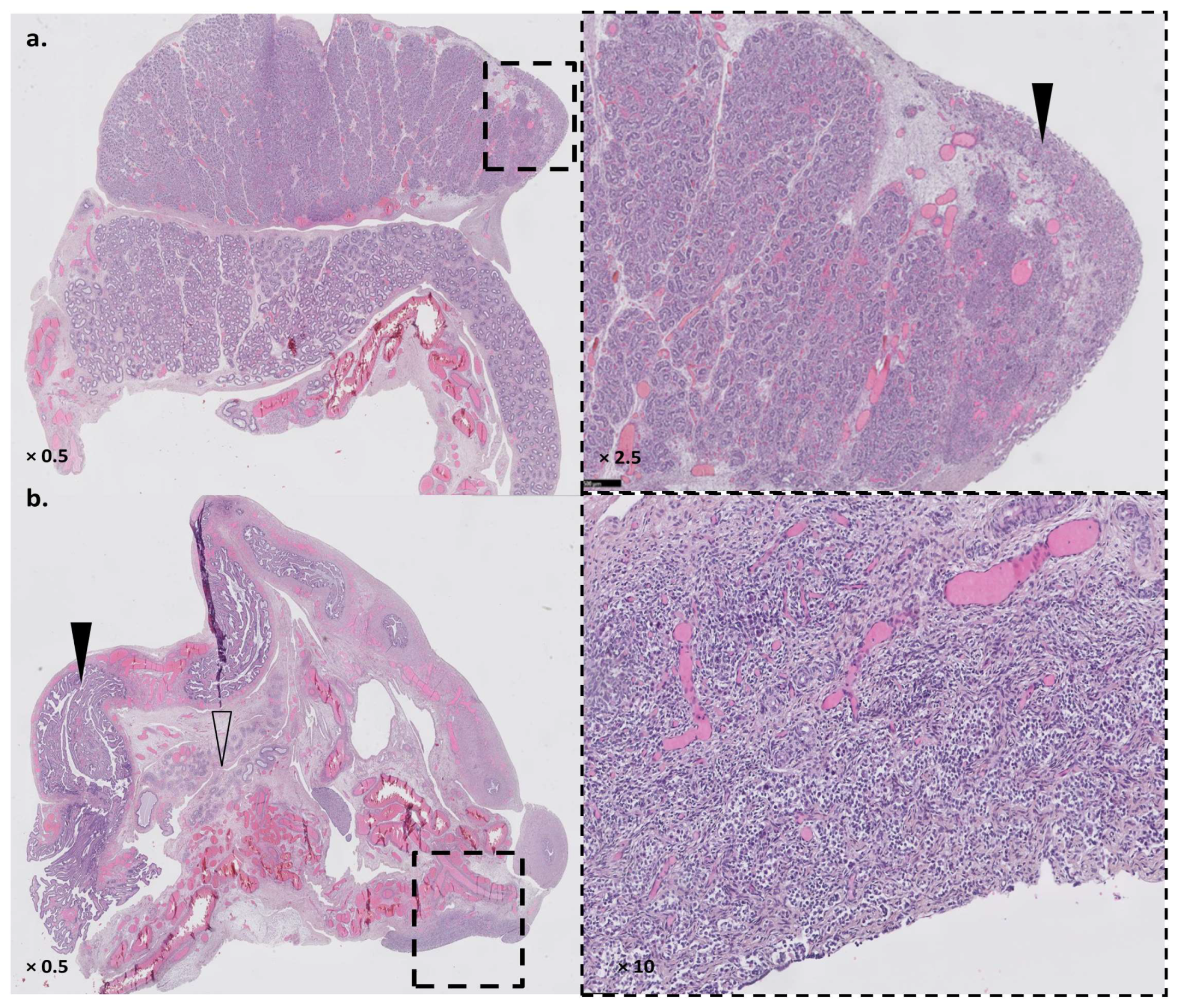 Genes 14 00273 g002 Genes 14 00273 g002
