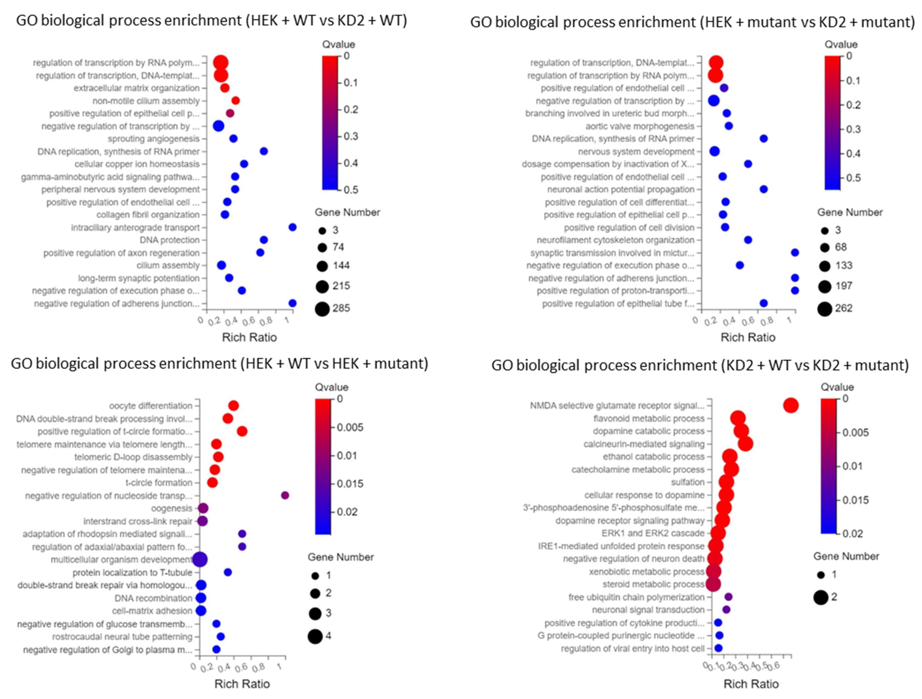 Genes 14 00273 g006 Genes 14 00273 g006