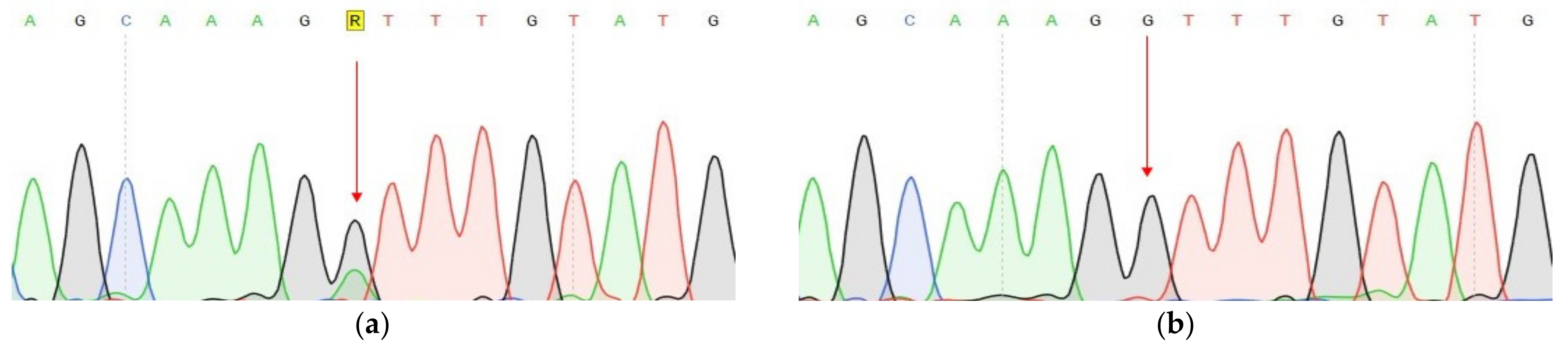 Genes 14 00280 g003 Genes 14 00280 g003