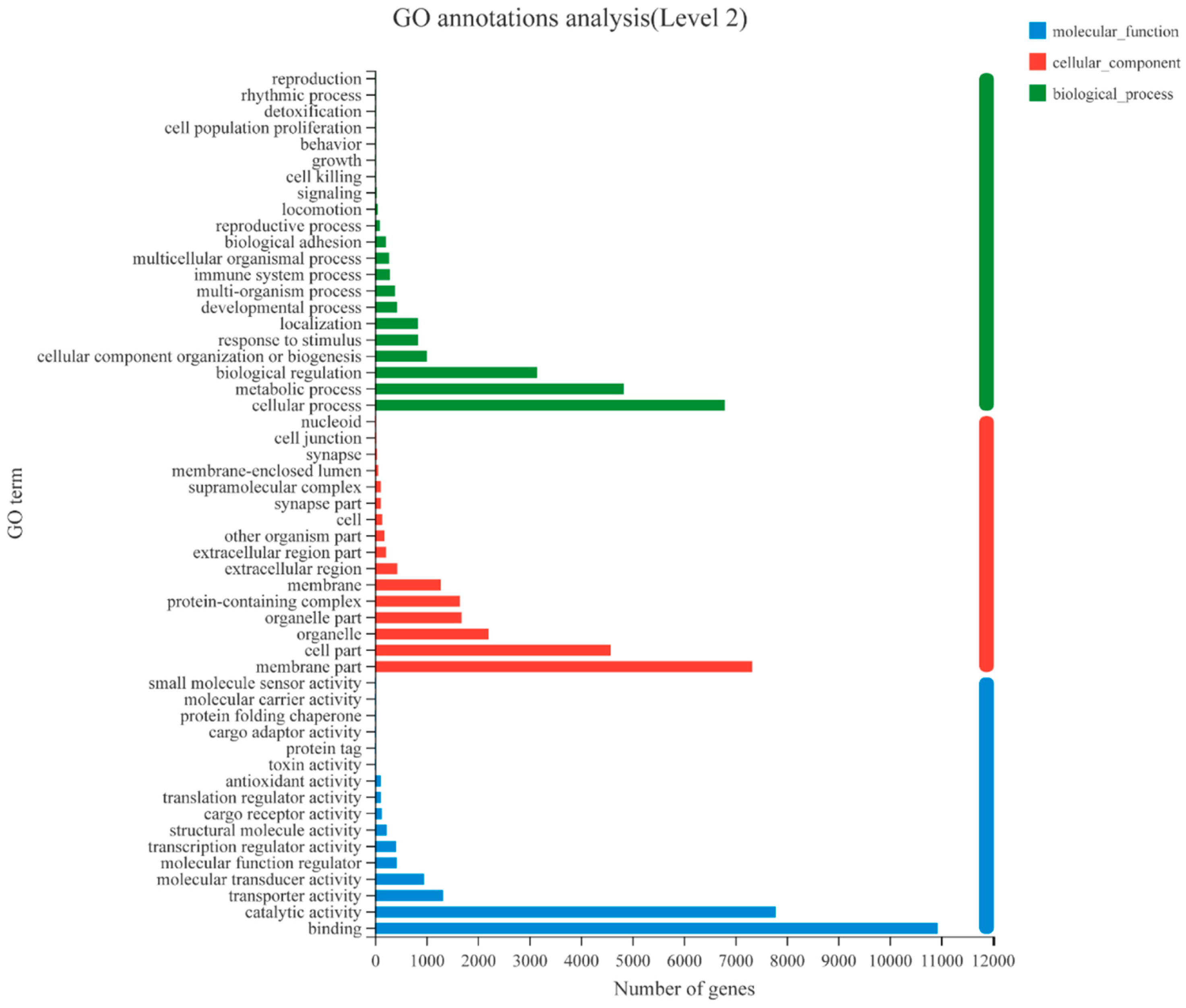 Genes 14 00287 g001 Genes 14 00287 g001