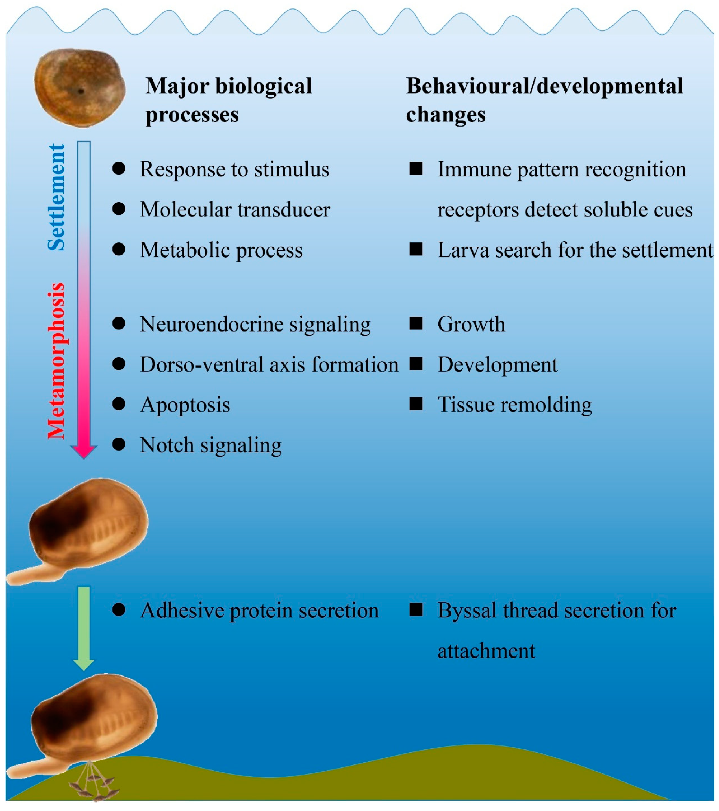 Genes 14 00287 g006 Genes 14 00287 g006