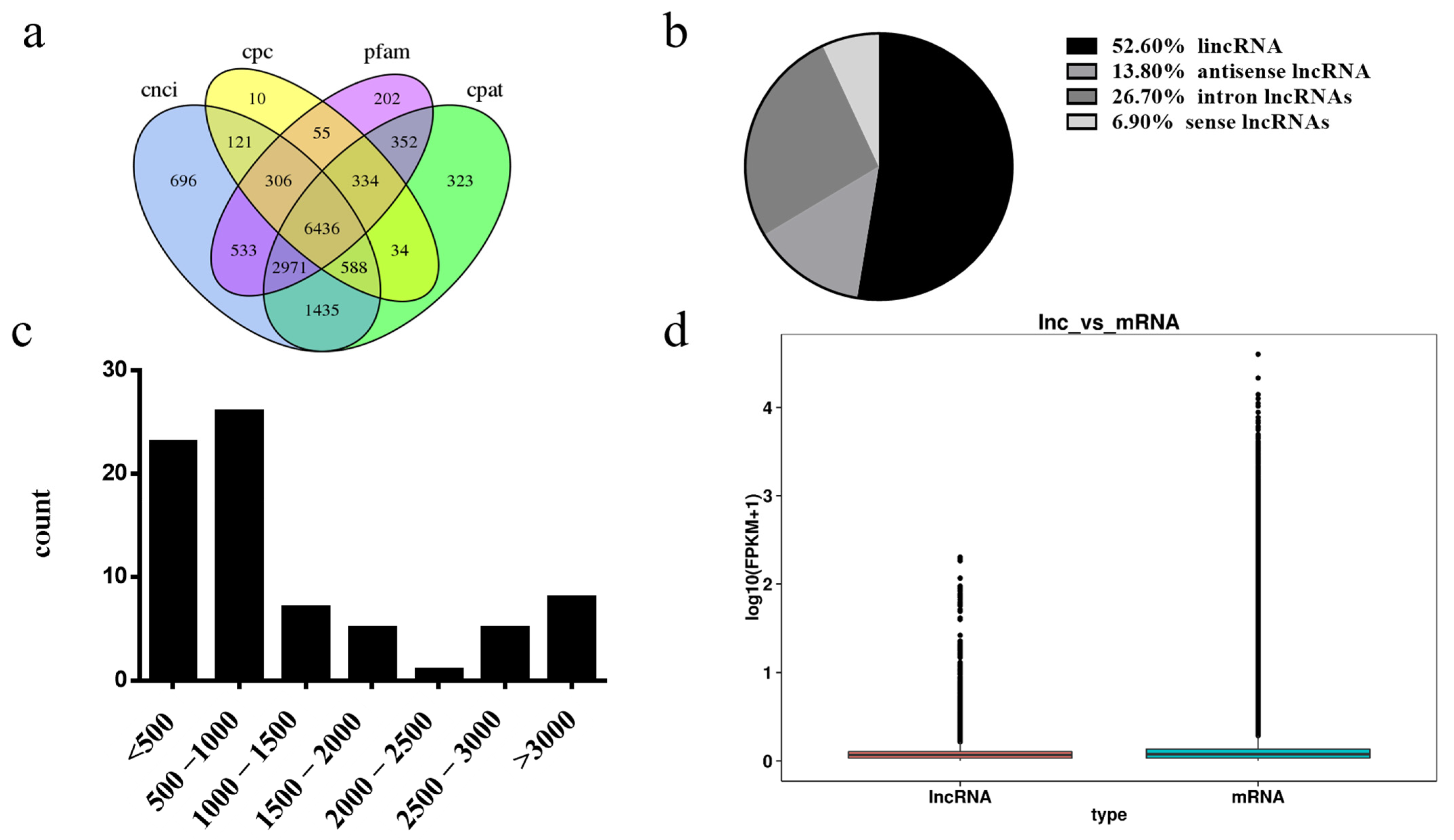 Genes 14 00290 g003