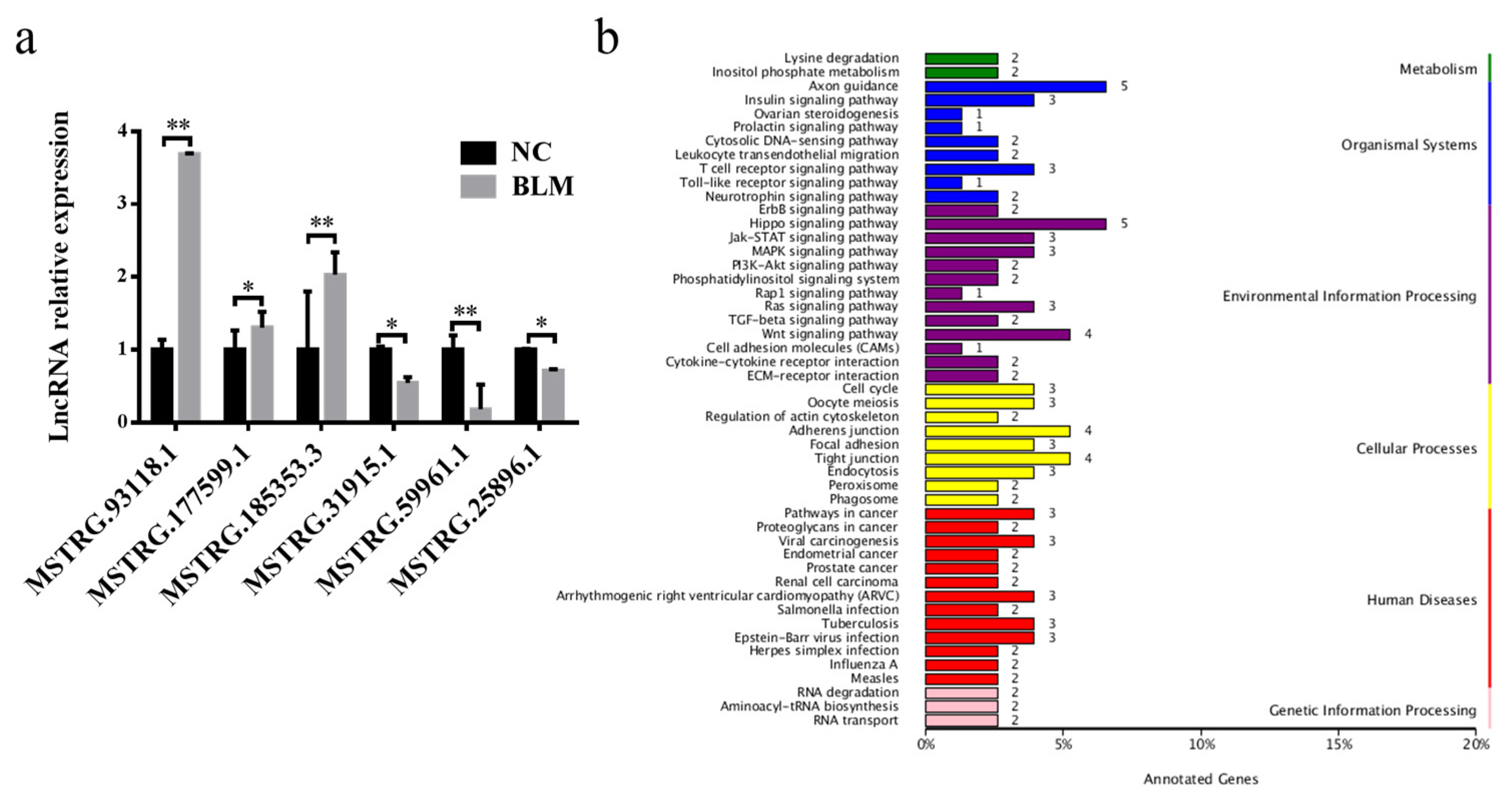 Genes 14 00290 g004