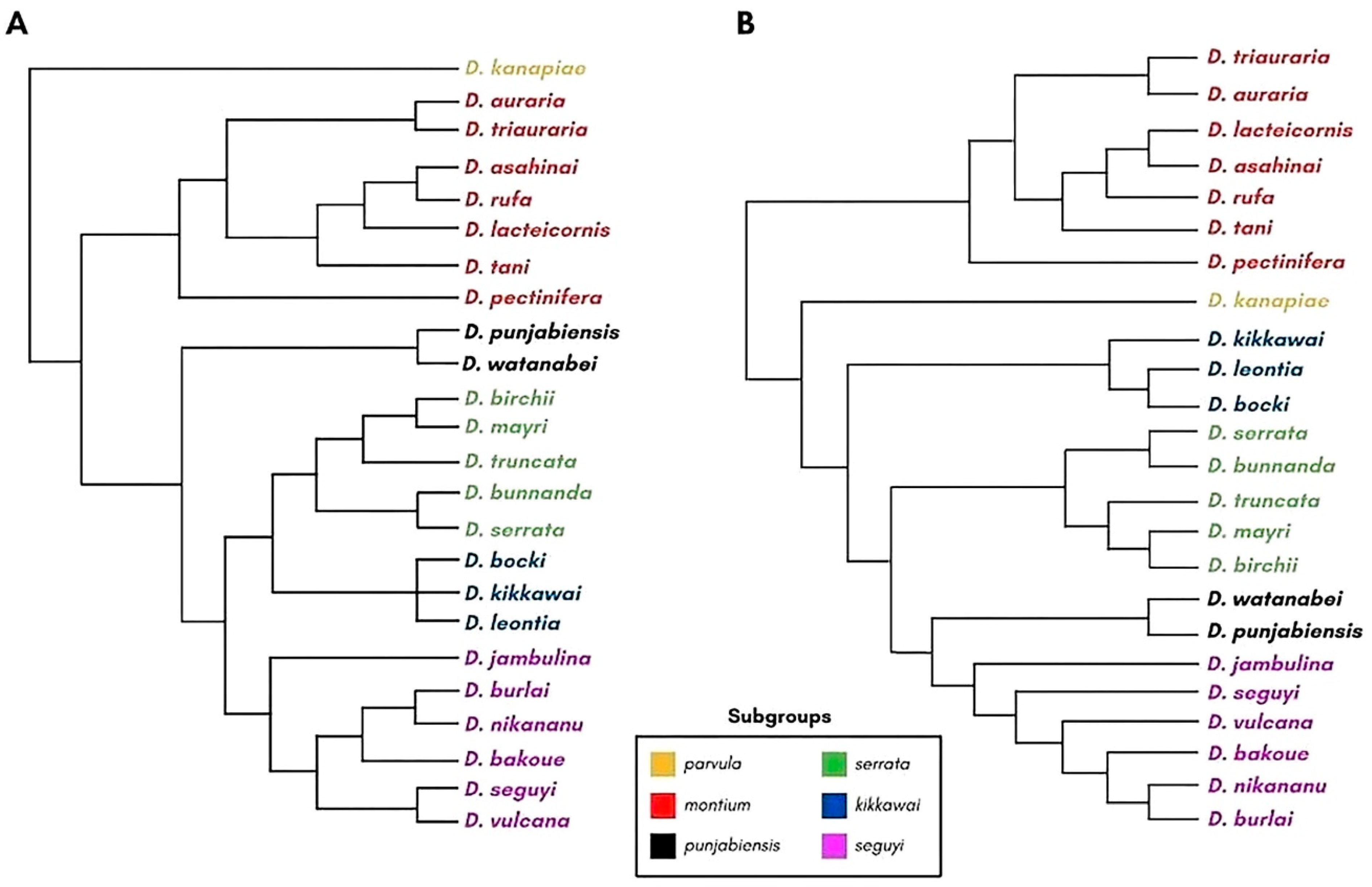 Genes 14 00300 g001 Genes 14 00300 g001