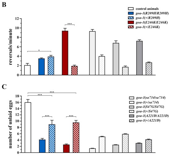 Genes, Free Full-Text