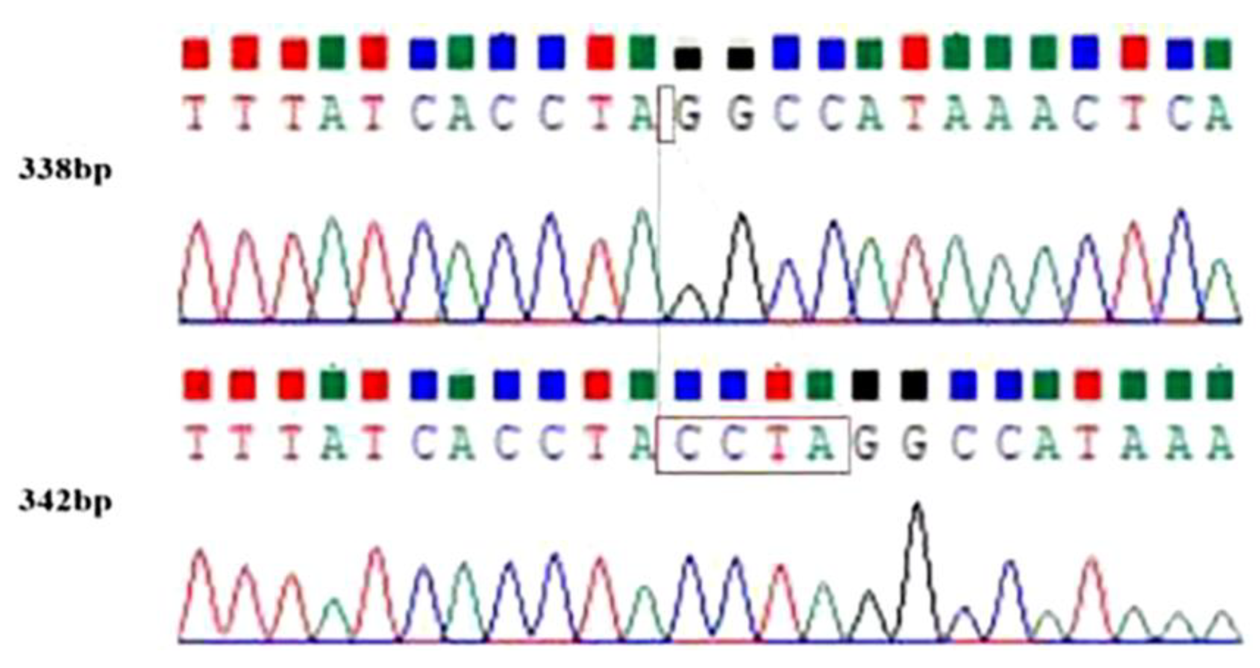 Genes | Free Full-Text | Study on the Association between LRRC8B Gene ...