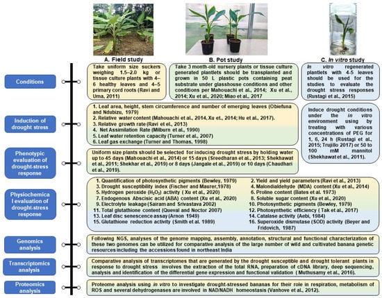 https://www.mdpi.com/genes/genes-14-00370/article_deploy/html/images/genes-14-00370-g005-550.jpg