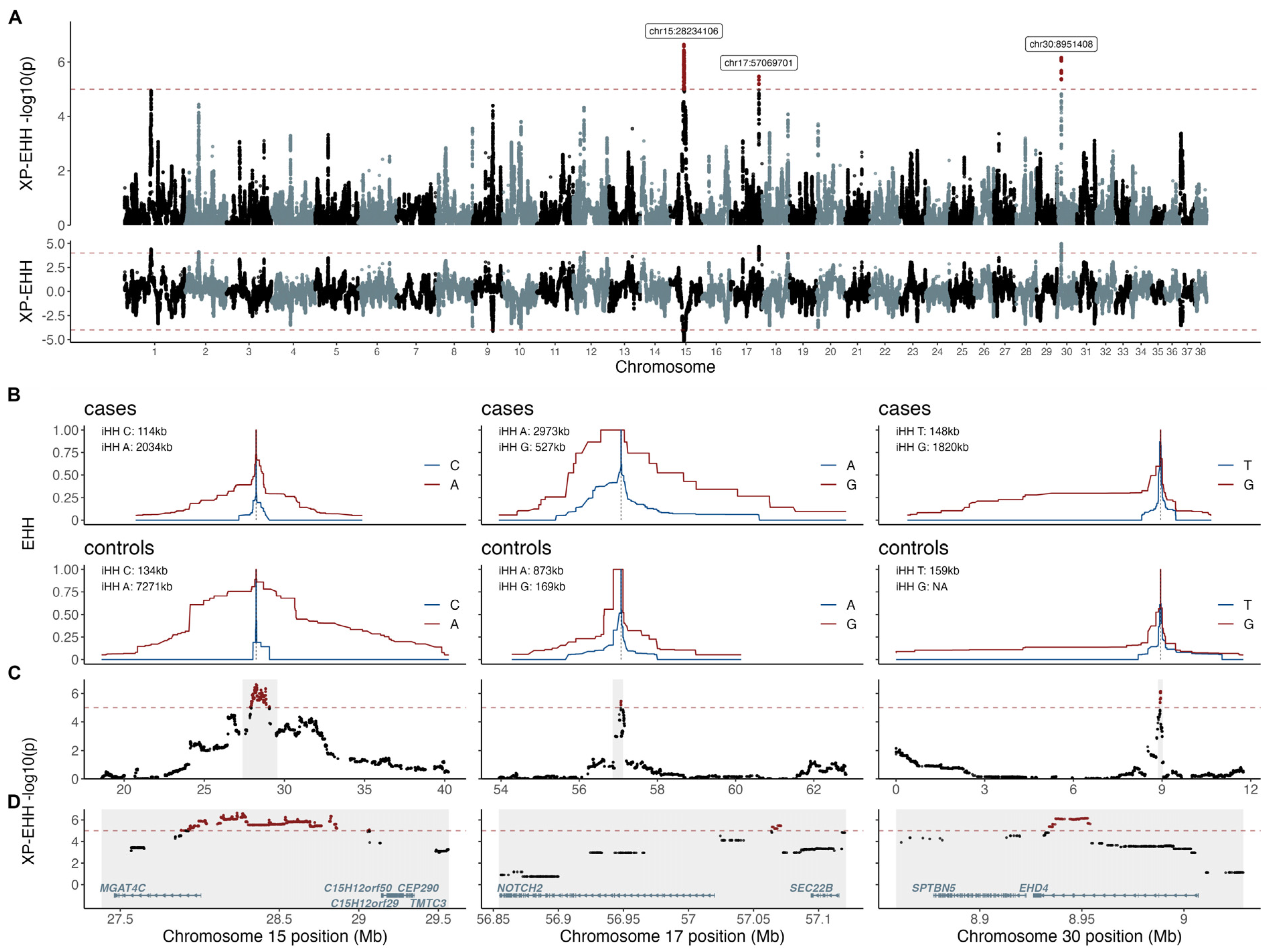 Genes 14 00385 g003 Genes 14 00385 g003