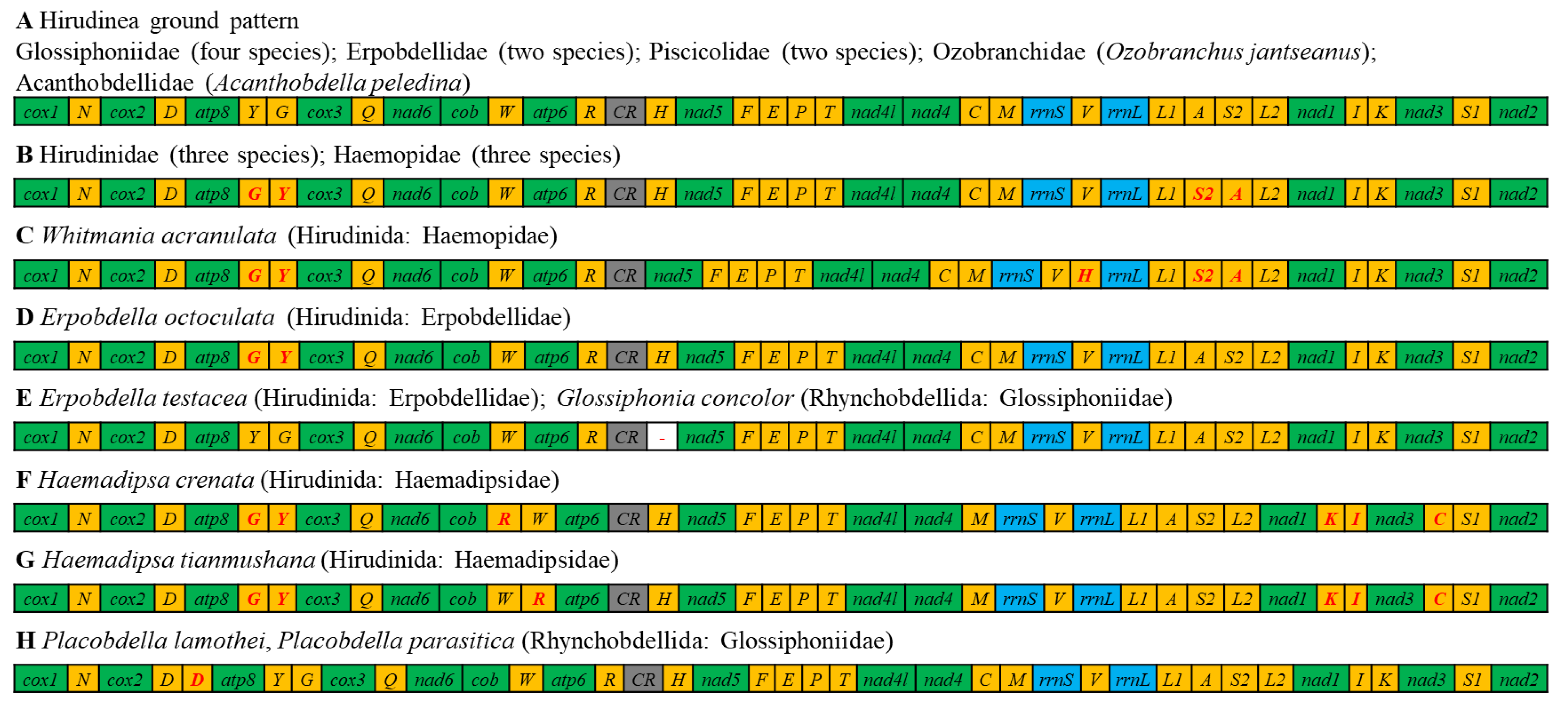 Genes 14 00388 g003