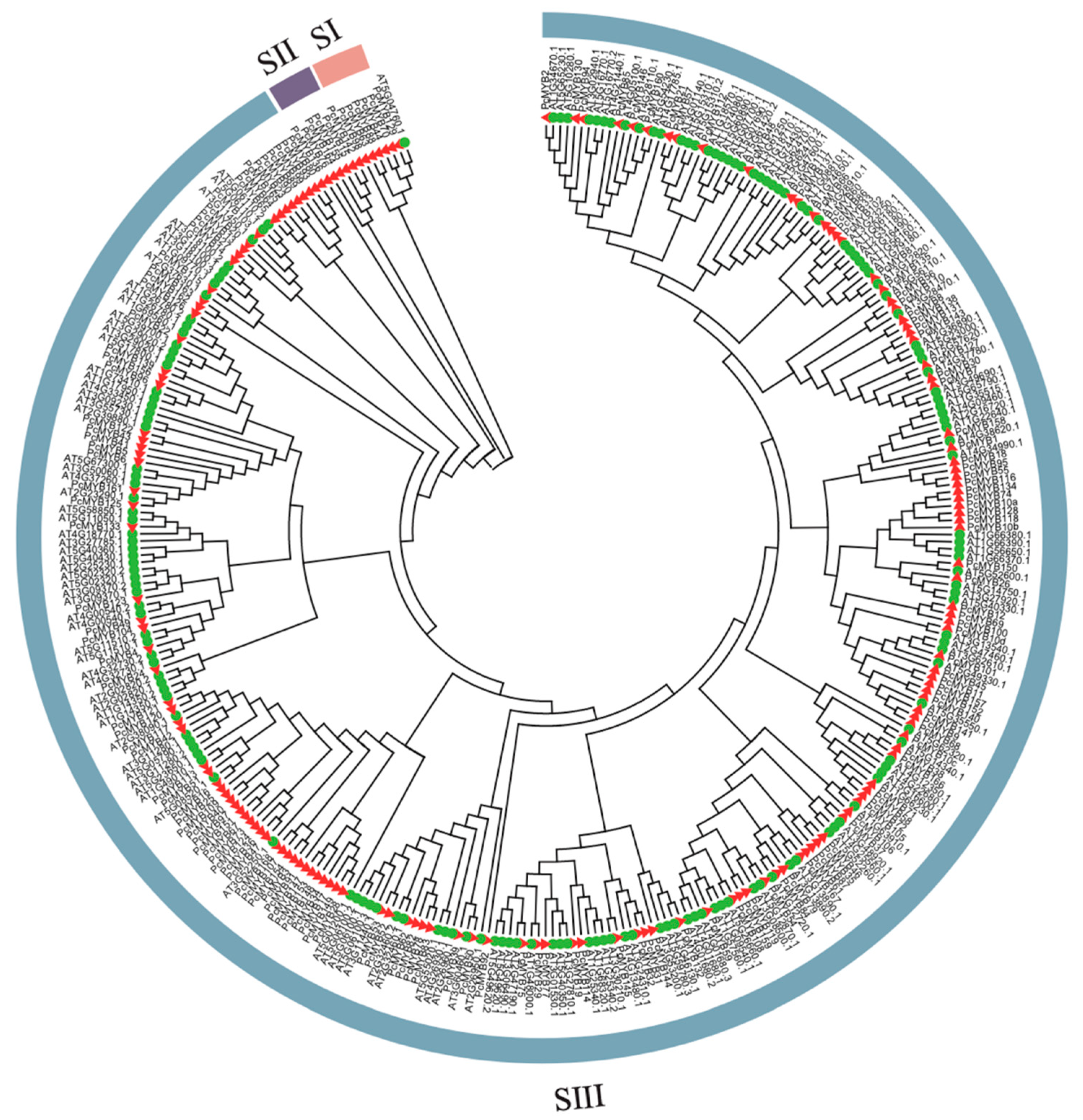Genes 14 00389 g007