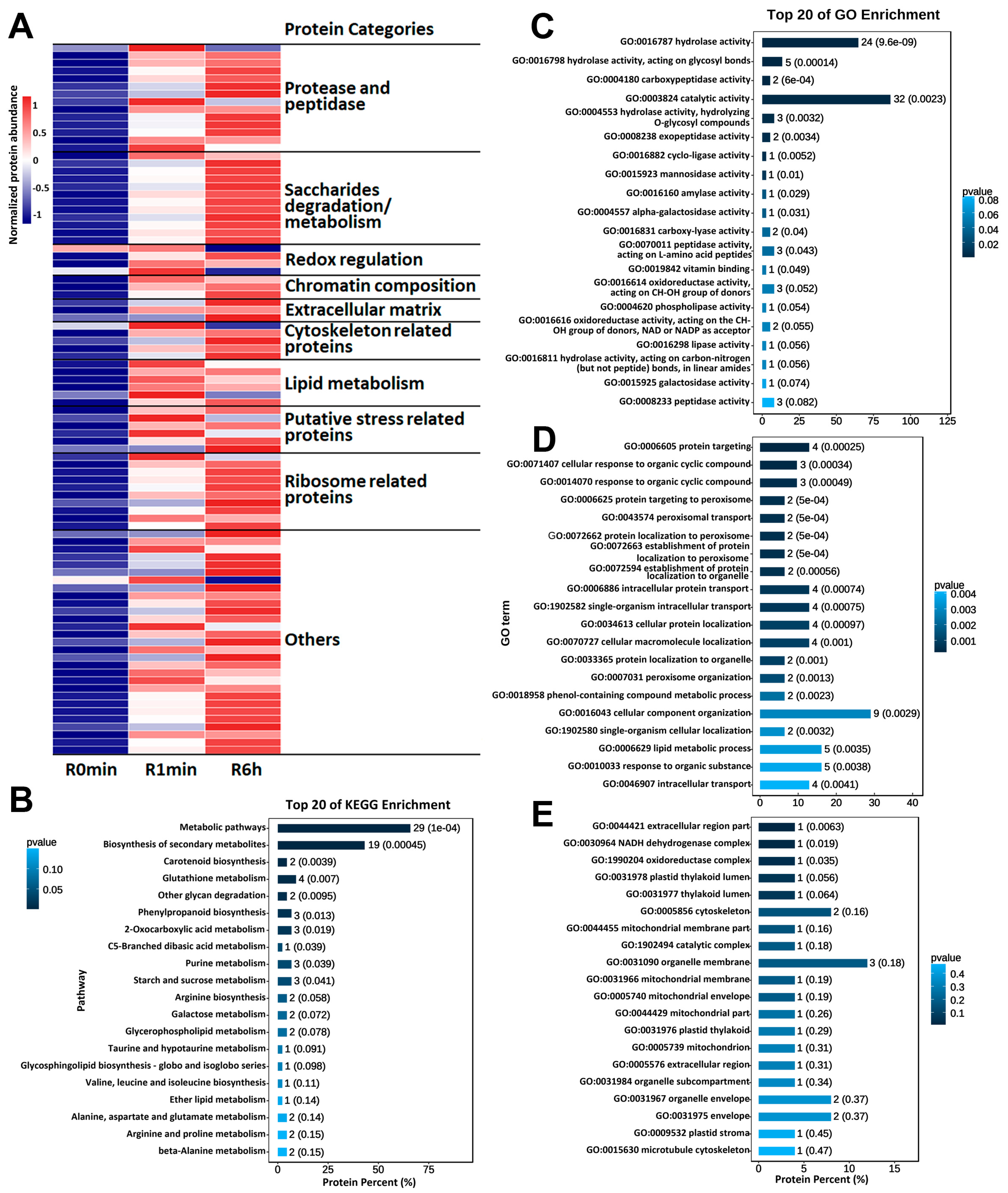 Genes 14 00390 g004 Genes 14 00390 g004