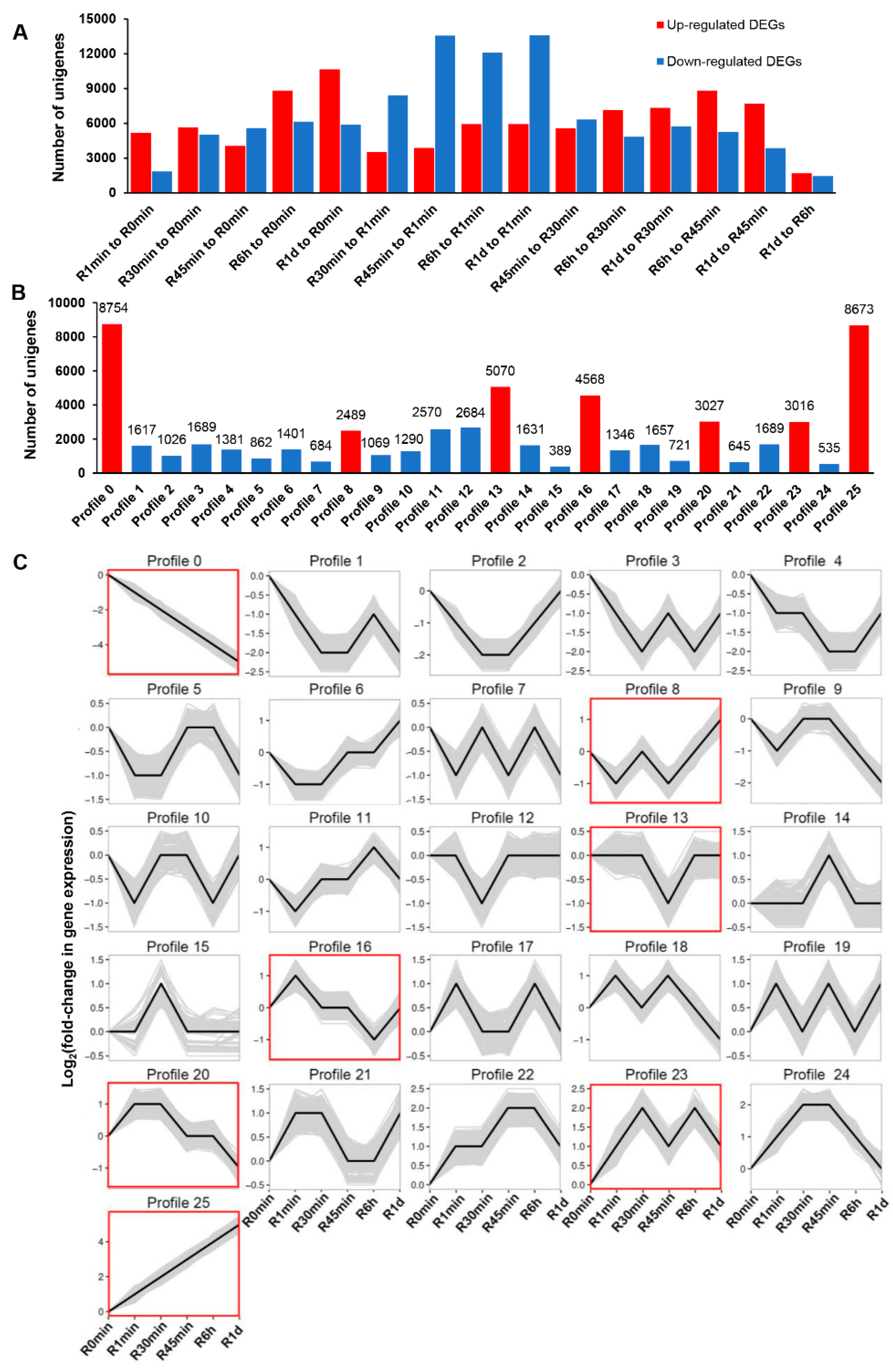 Genes 14 00390 g005 Genes 14 00390 g005