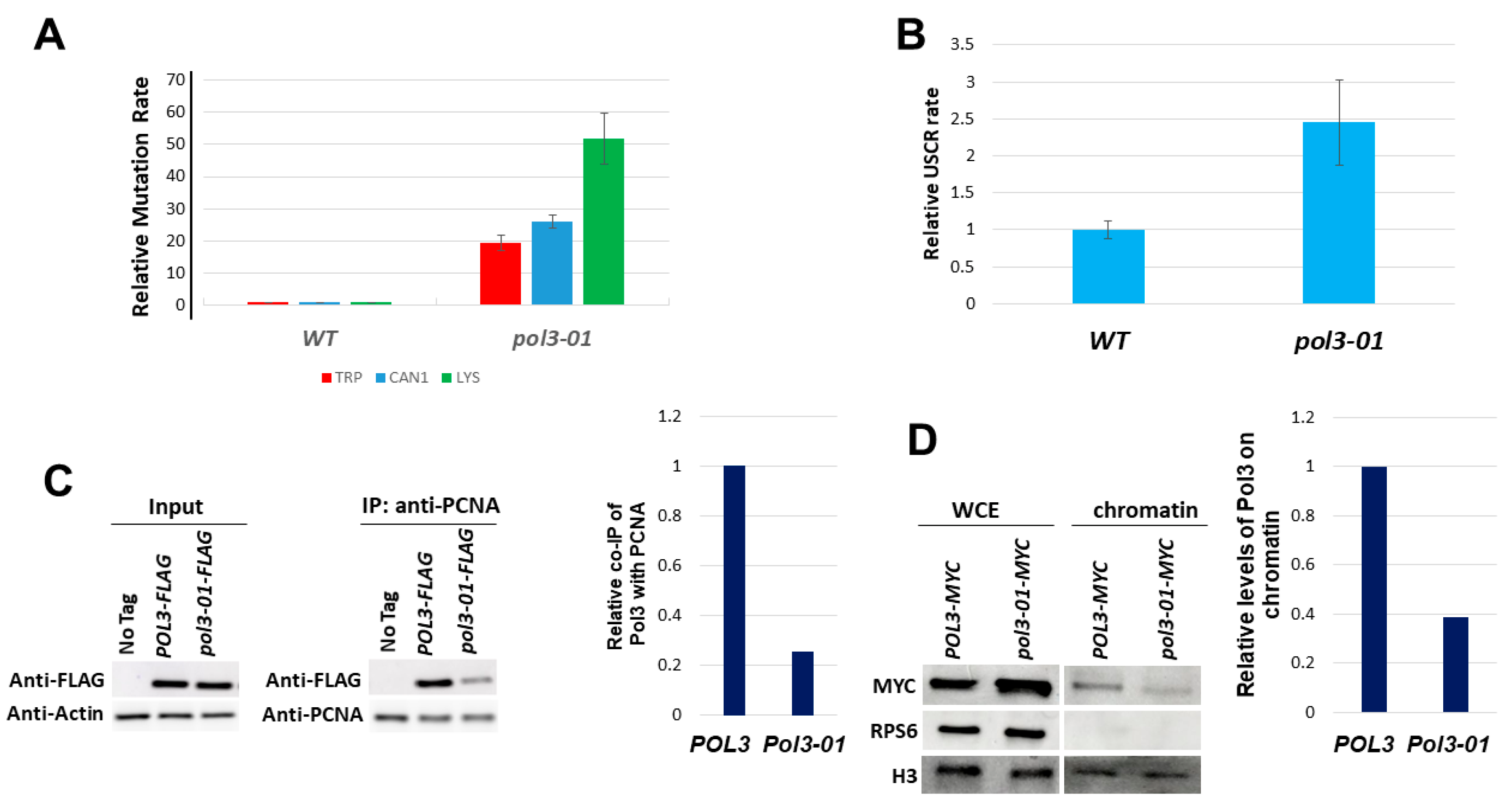 Genes 14 00391 g002 Genes 14 00391 g002