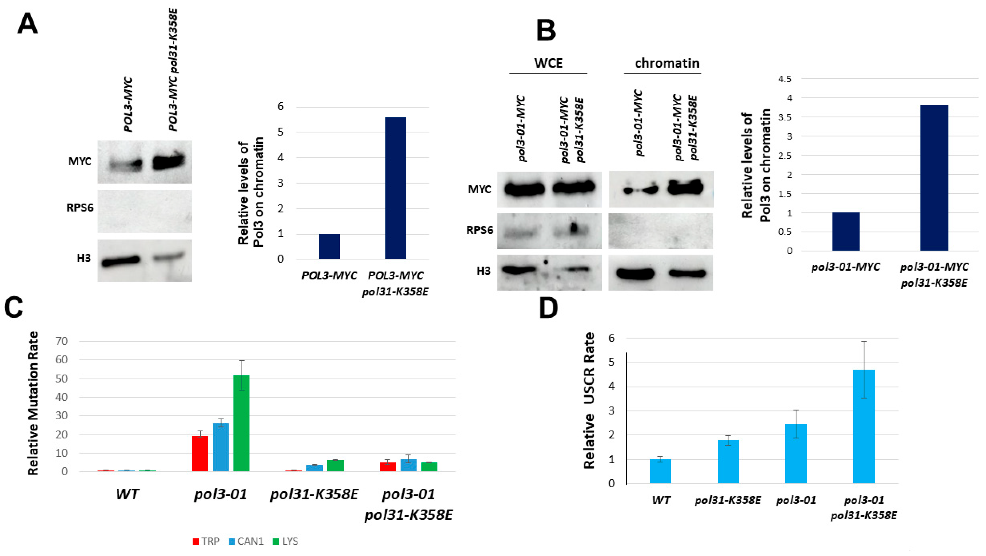 Genes 14 00391 g004 Genes 14 00391 g004