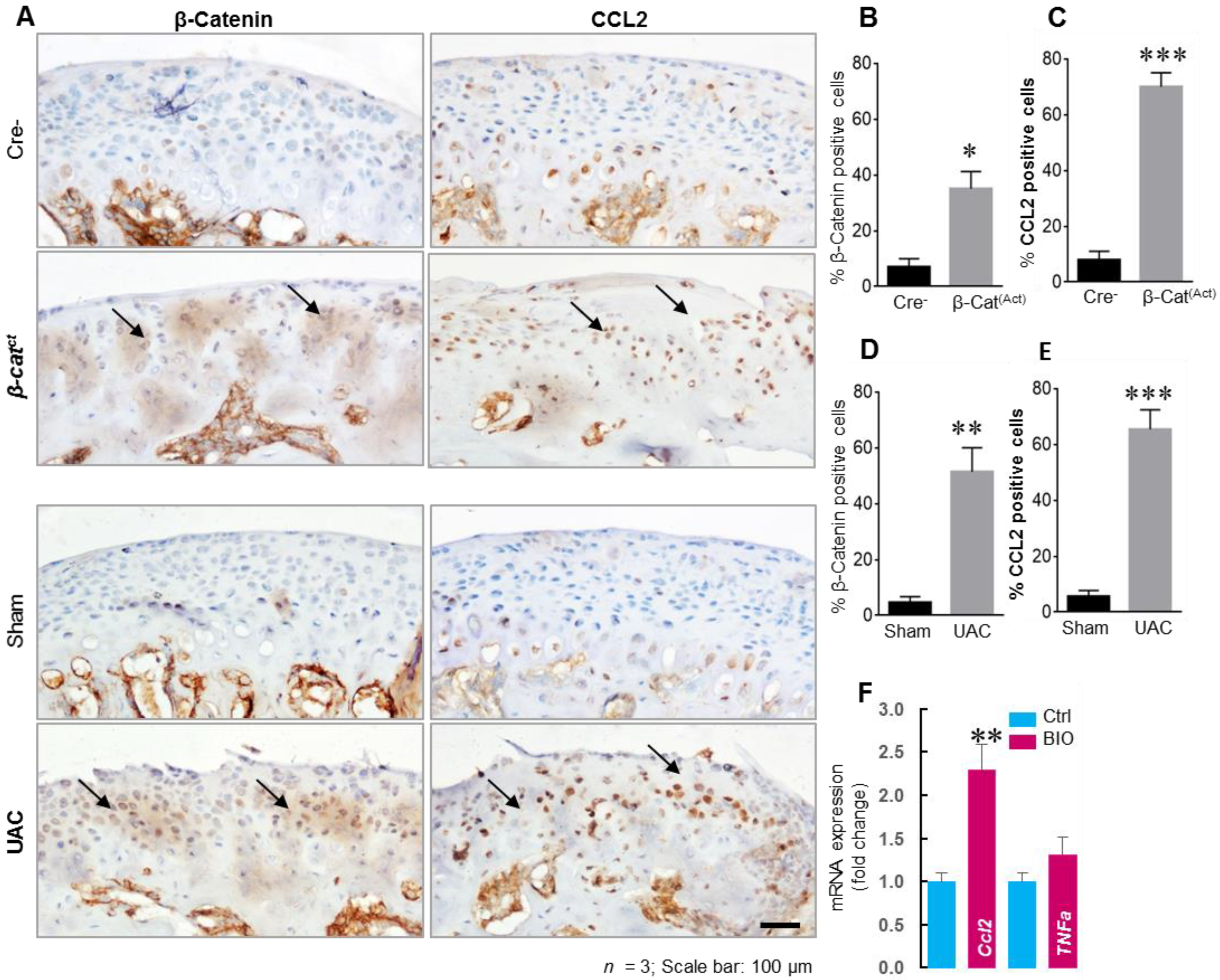 Genes 14 00408 g002 Genes 14 00408 g002