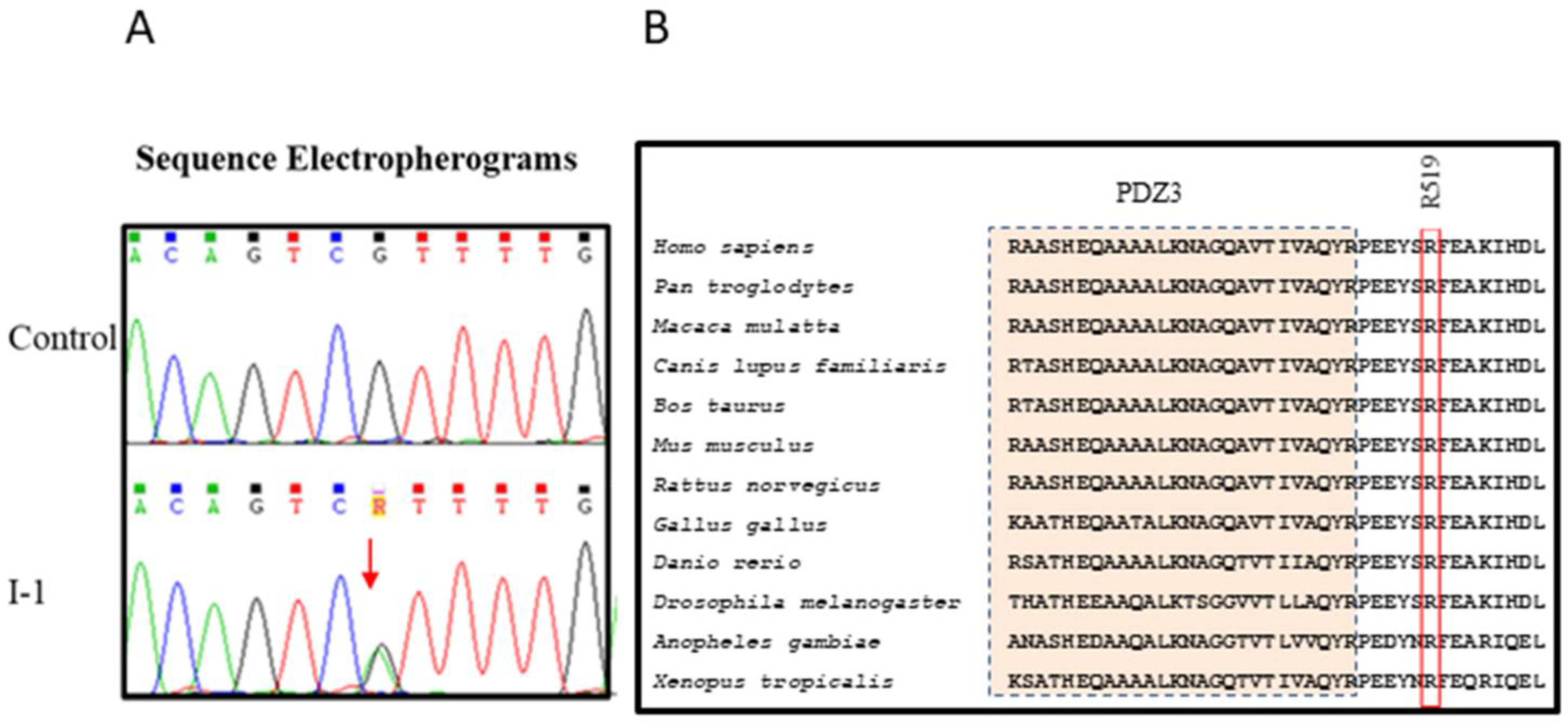 Genes 14 00427 g002