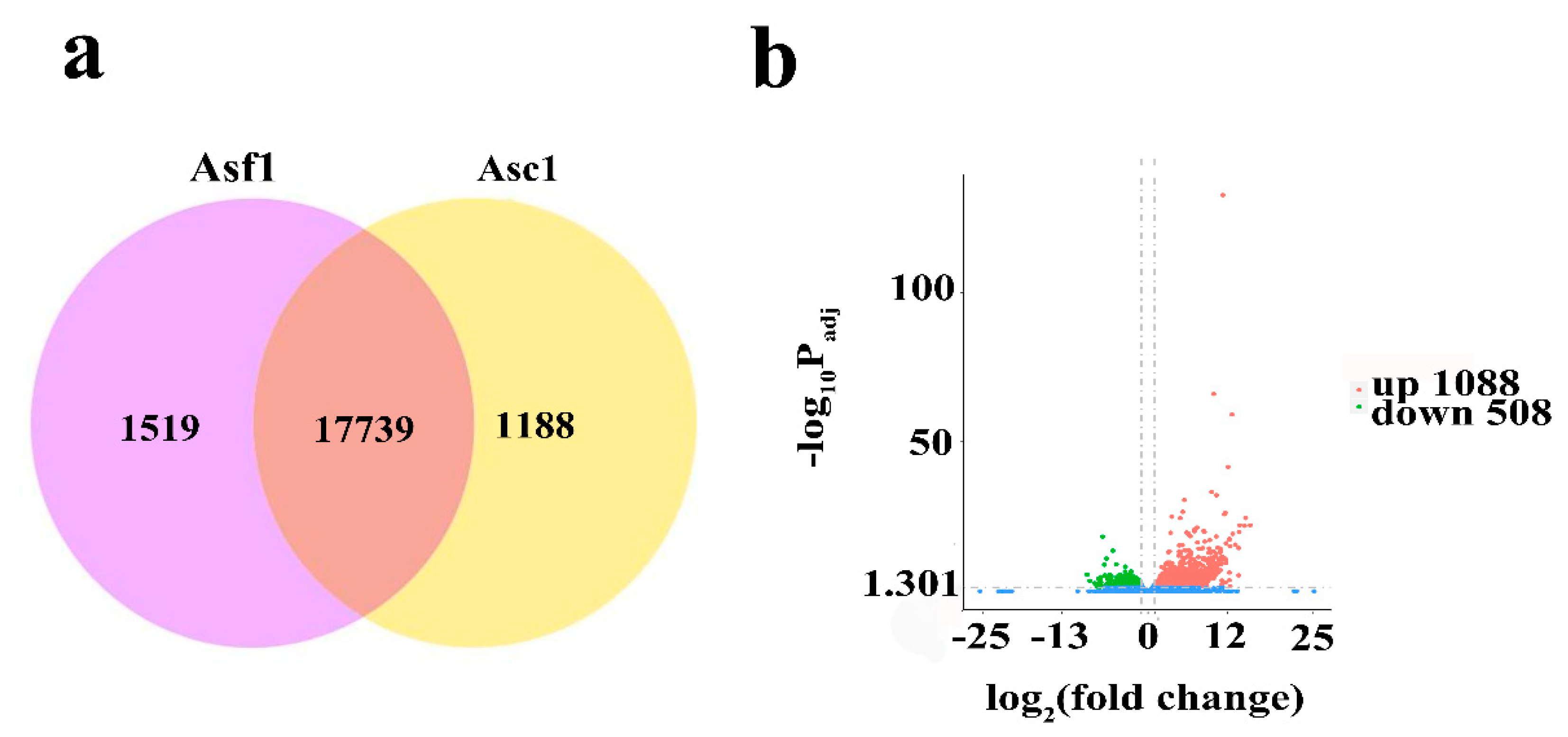 Genes 14 00464 g001