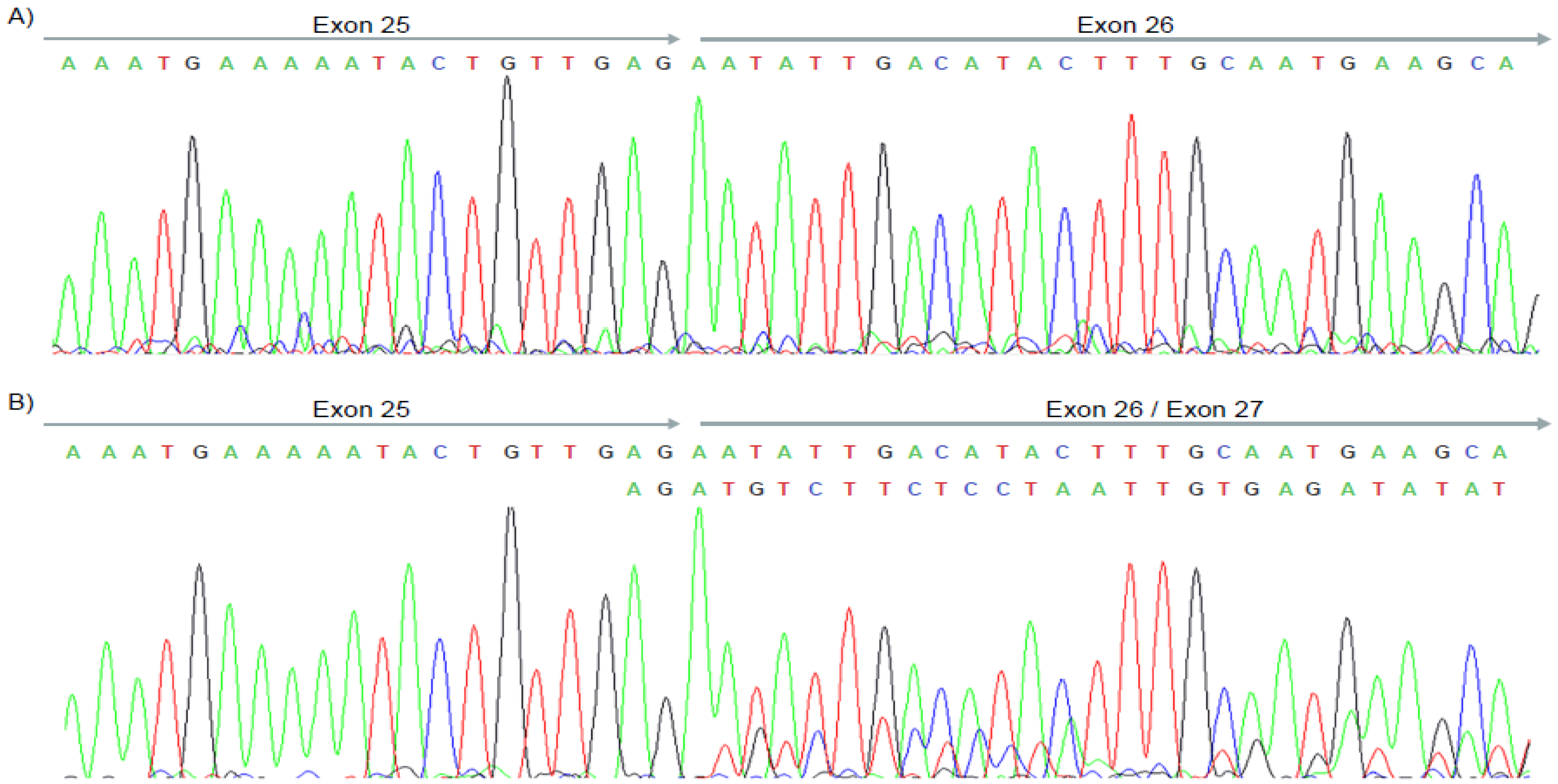 Genes 14 00502 g004