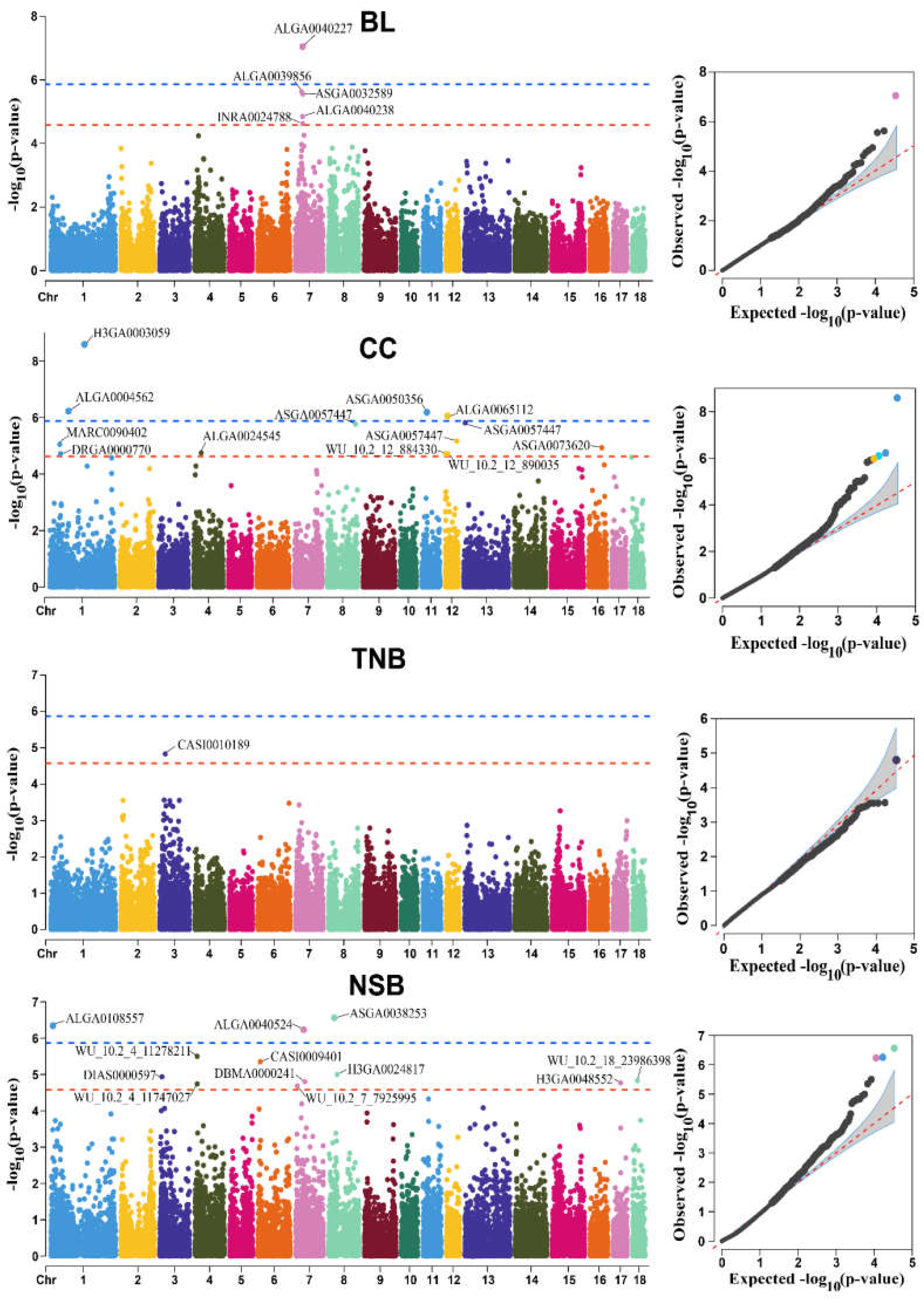Genes 14 00522 g003 Genes 14 00522 g003